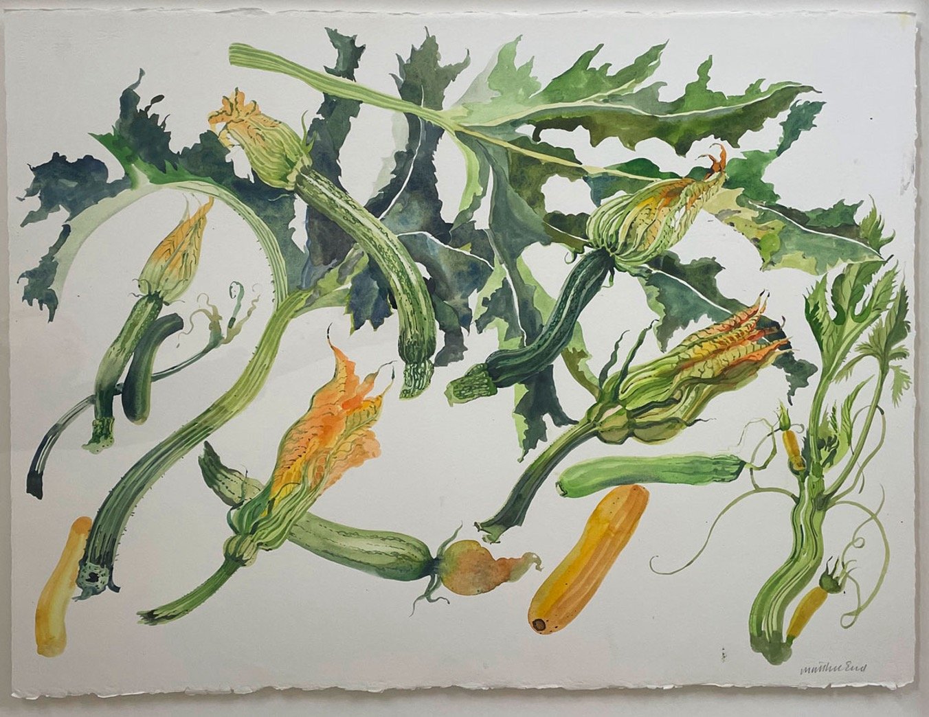 courgettes.jpg