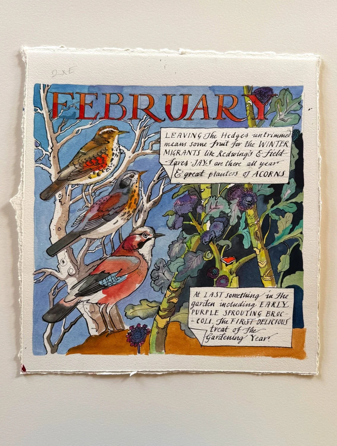 February Birds - Calendar Artwork