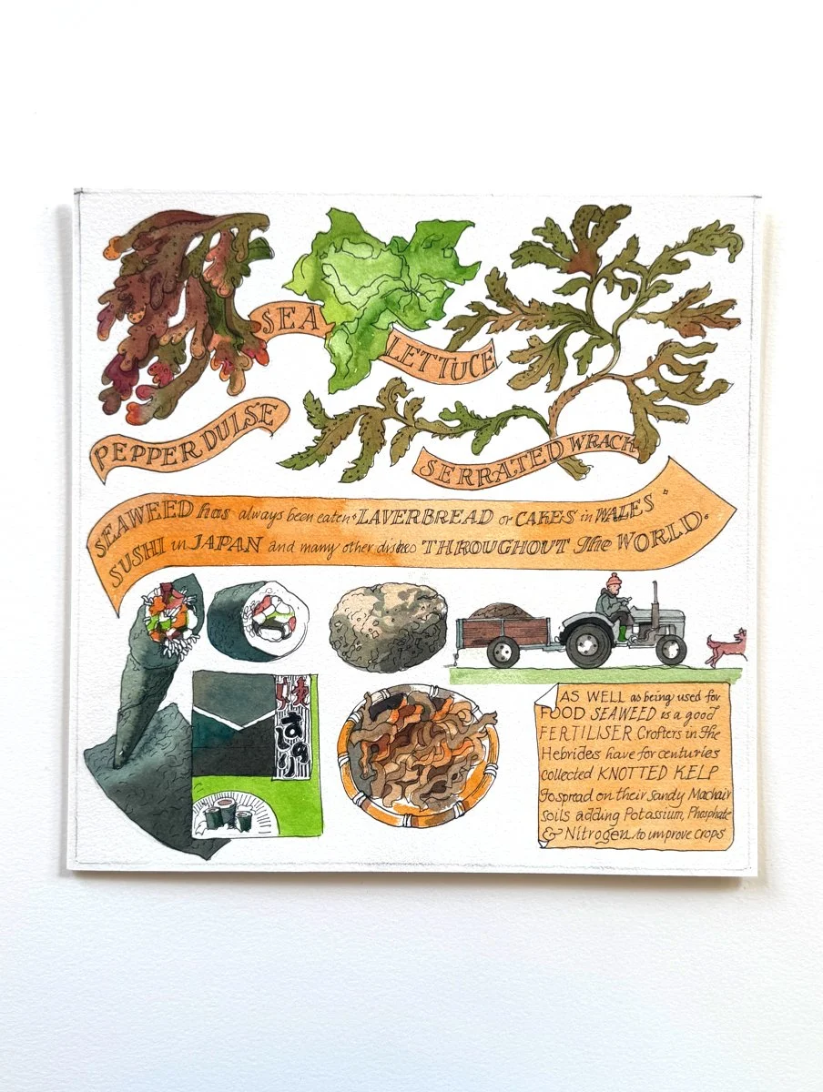 Seaweed - Calendar Artwork