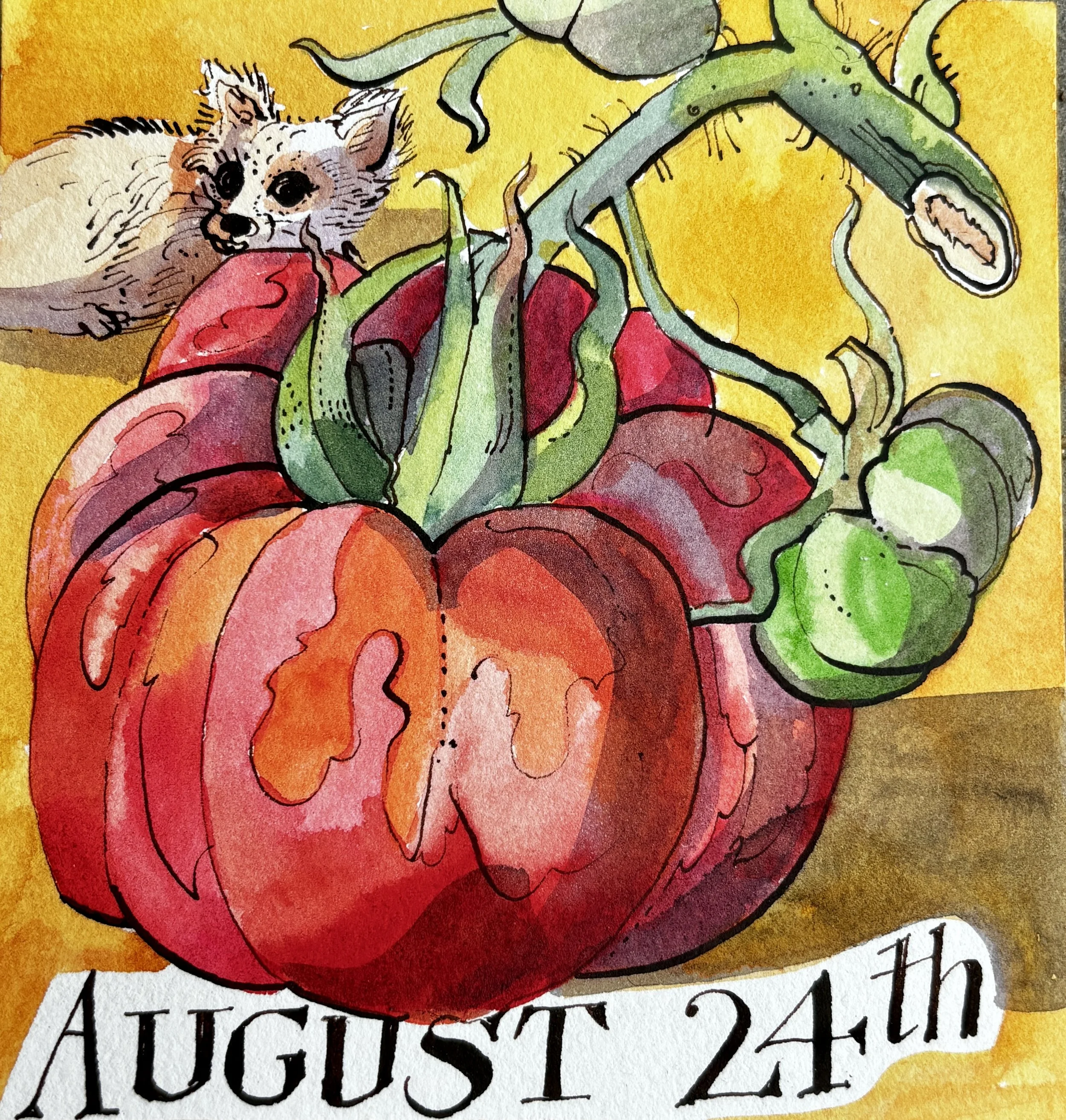 Aug 24th.JPG