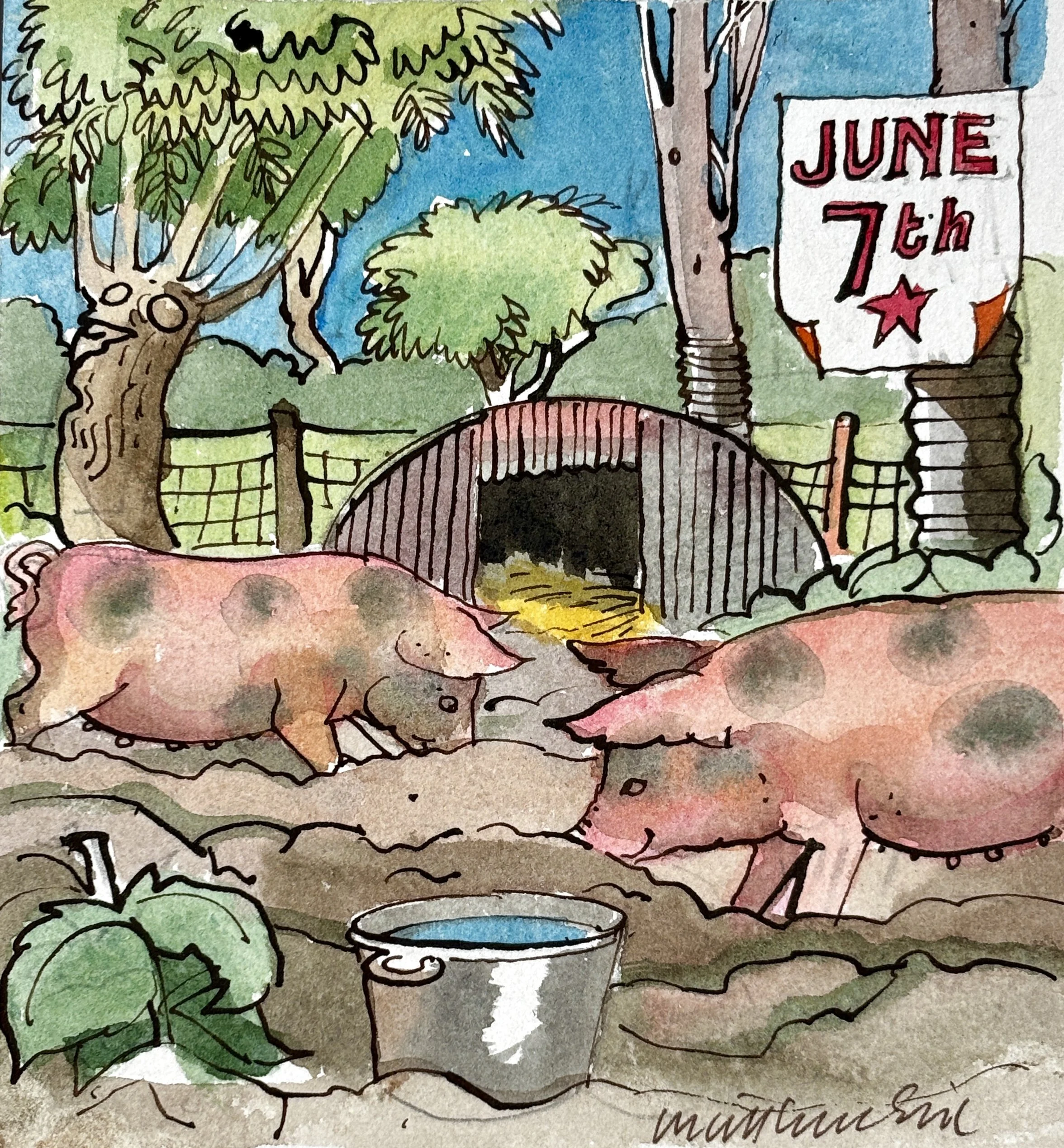 June 7th.JPG