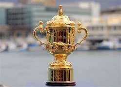 Rugby World Cup semi-finals