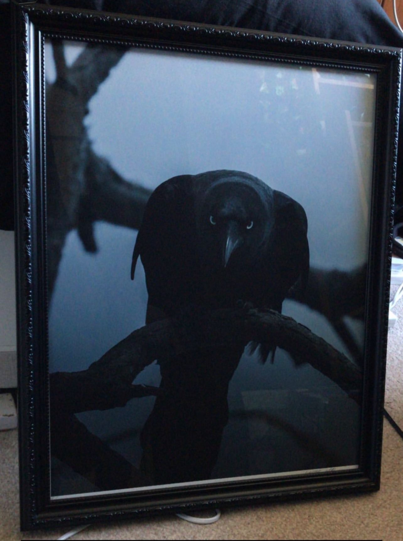 IMG_0085.jpeg