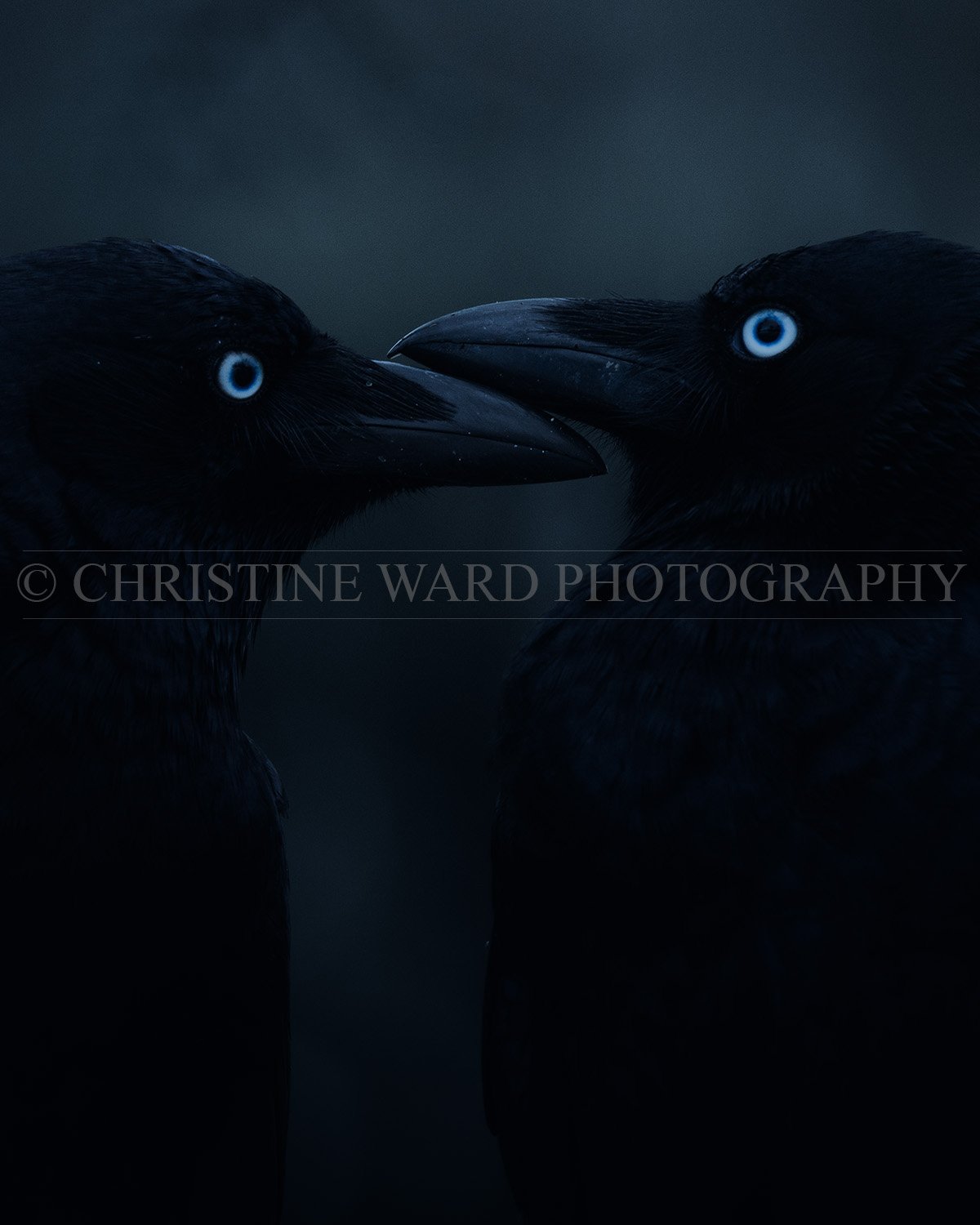 A Silent Bond