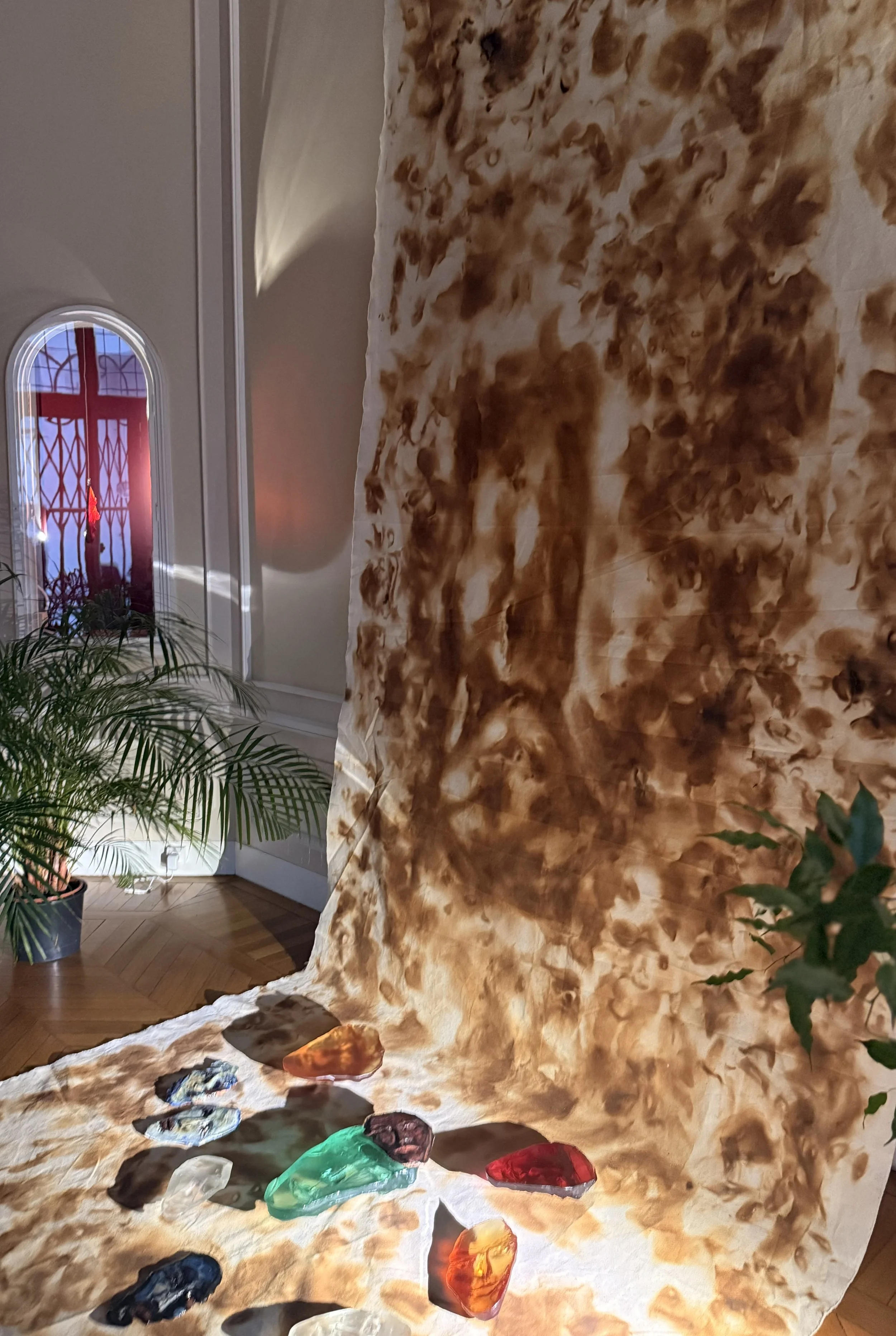 BOBODY OF FIRE - EMBASSY OF THE REPUBLIC OF N. MACEDONIA, PARIS, FRANCE

 December 2025 → February 2025DY OF FIRE - EMBASSY OF THE REPUBLIC OF N. MACEDONIA, PARIS, FRANCE

 December 2025 → February 2025