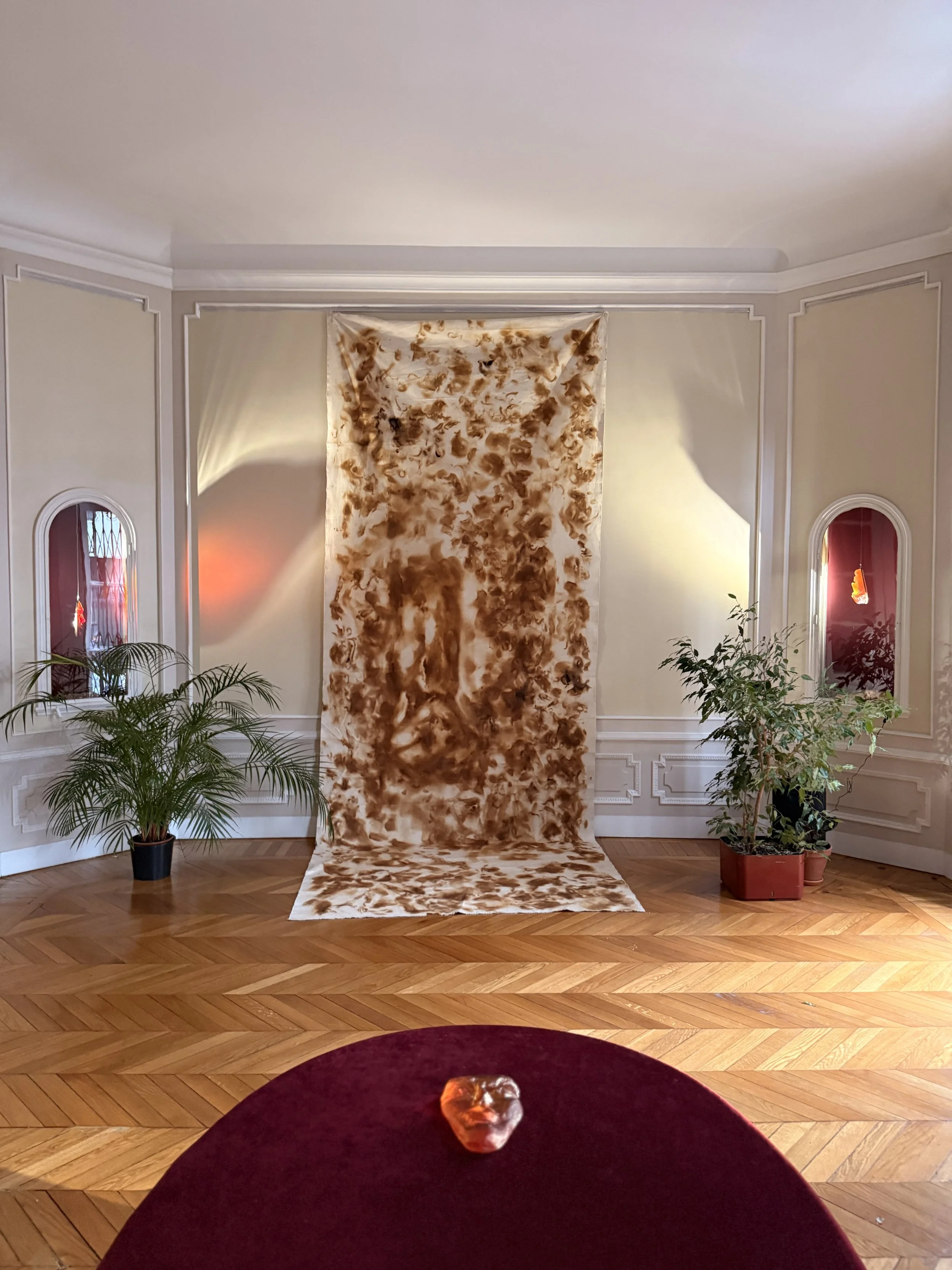 BODY OF FIRE - EMBASSY OF THE REPUBLIC OF N. MACEDONIA, PARIS


 December 2025 → February 2025
