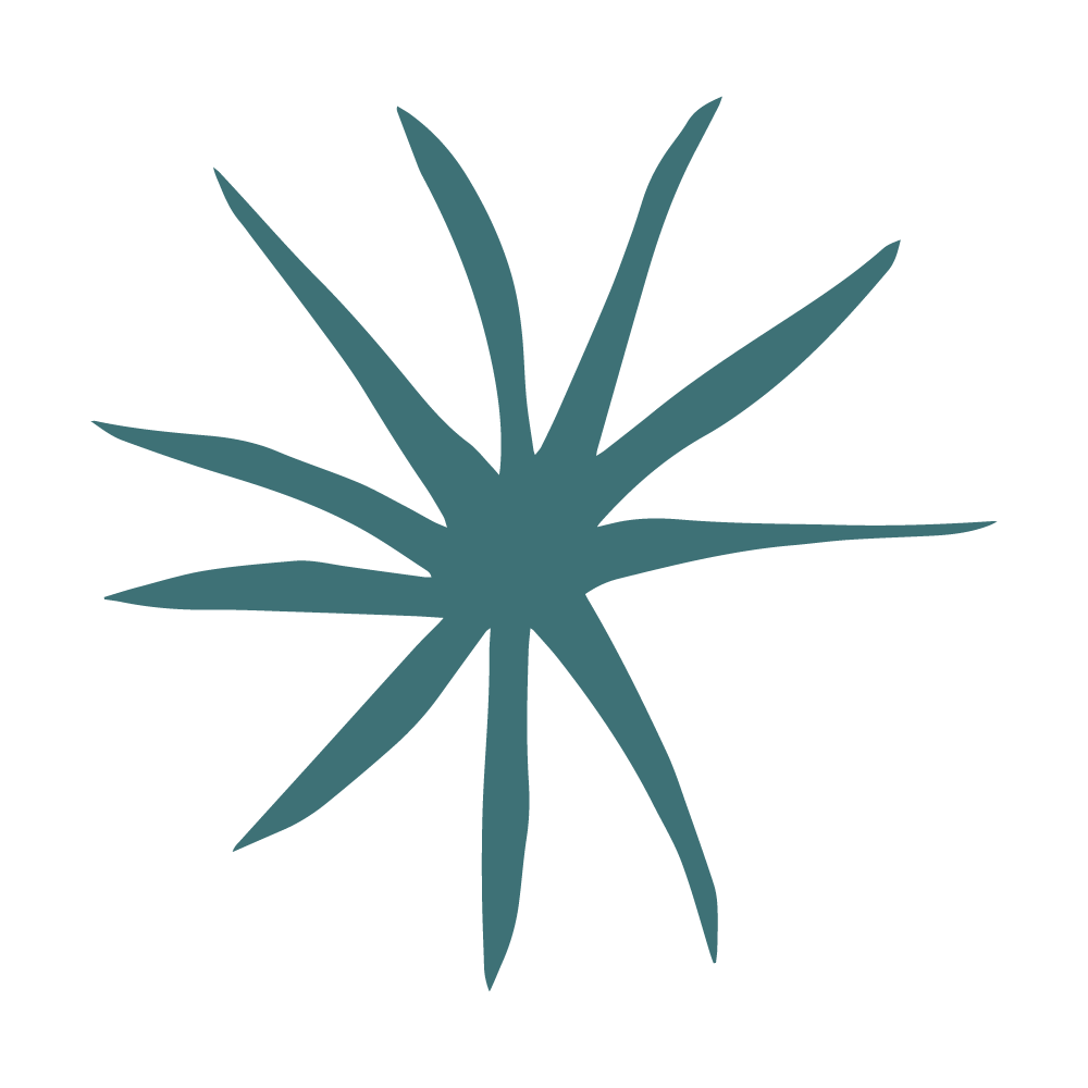 Stylized teal-colored plant or succulent with pointed leaves on a black background.