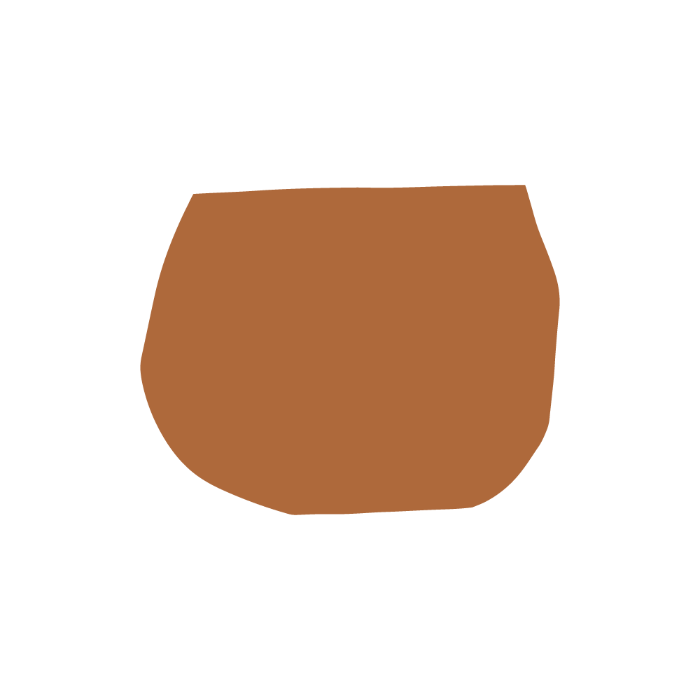 A drawing of a large, rounded brown object resembling a chestnut.