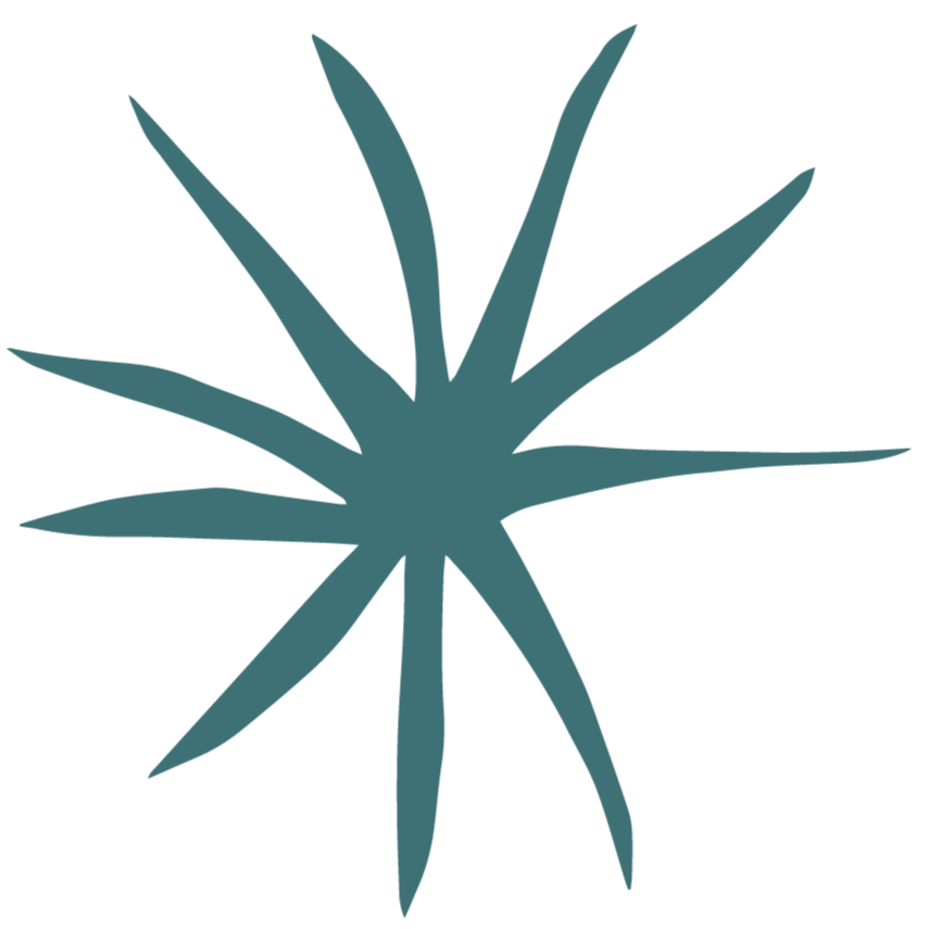 A stylized illustration of an agave plant with long, pointed leaves radiating outward.