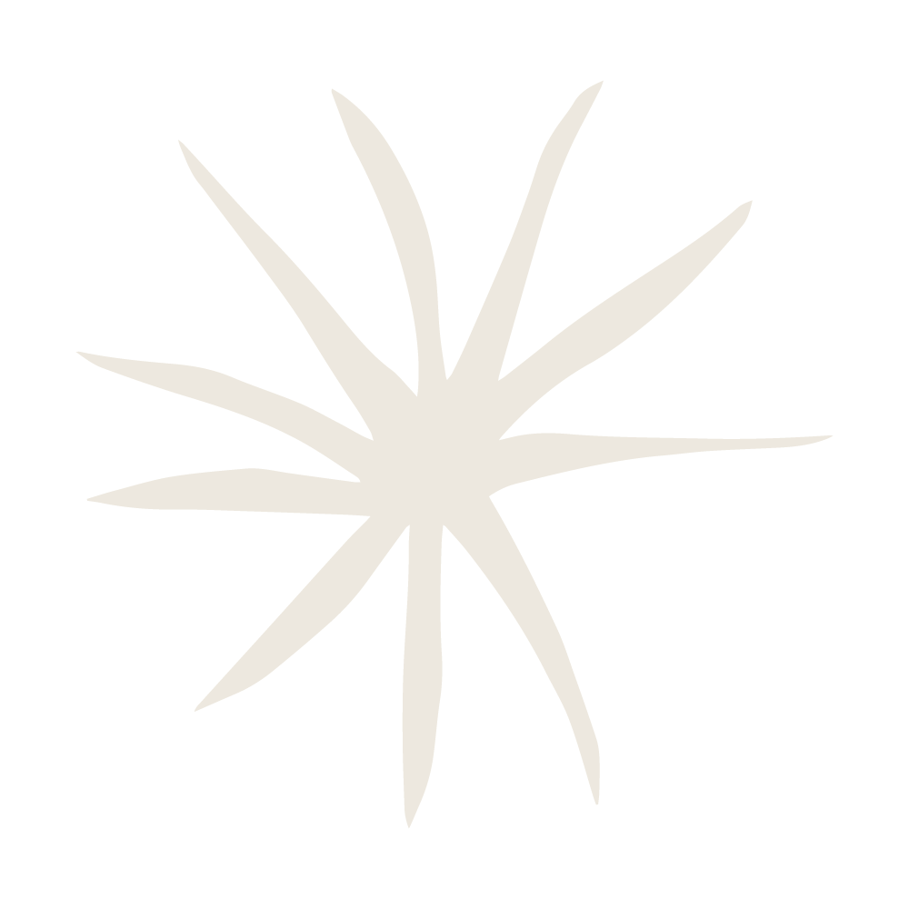 A stylized aloe vera plant with elongated leaves on a black background.
