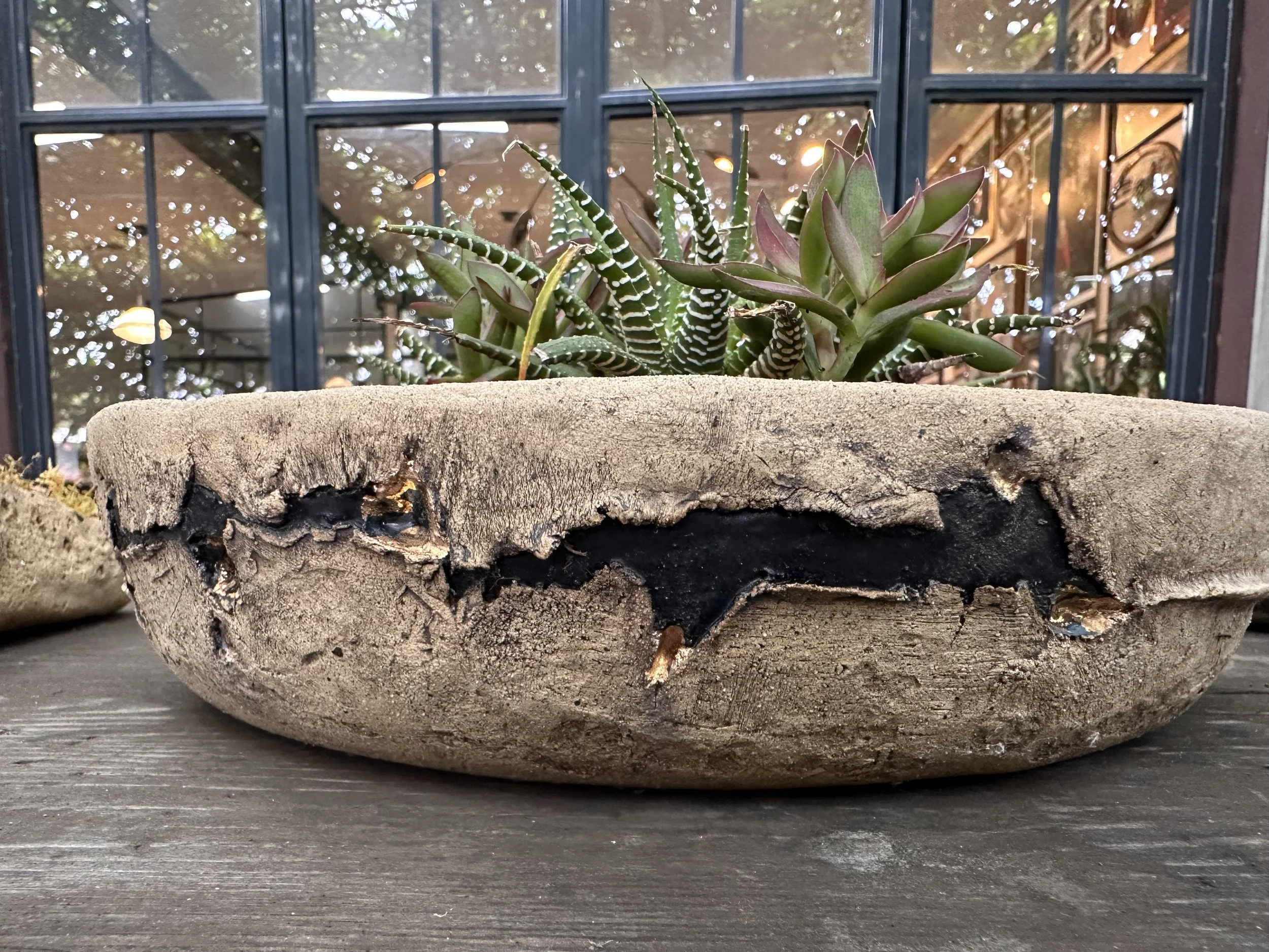 A rustic, weathered clay pot with succulents, including aloe and zebra plant, placed on a wooden surface against a backdrop of large window panes and reflections of trees and outdoors.