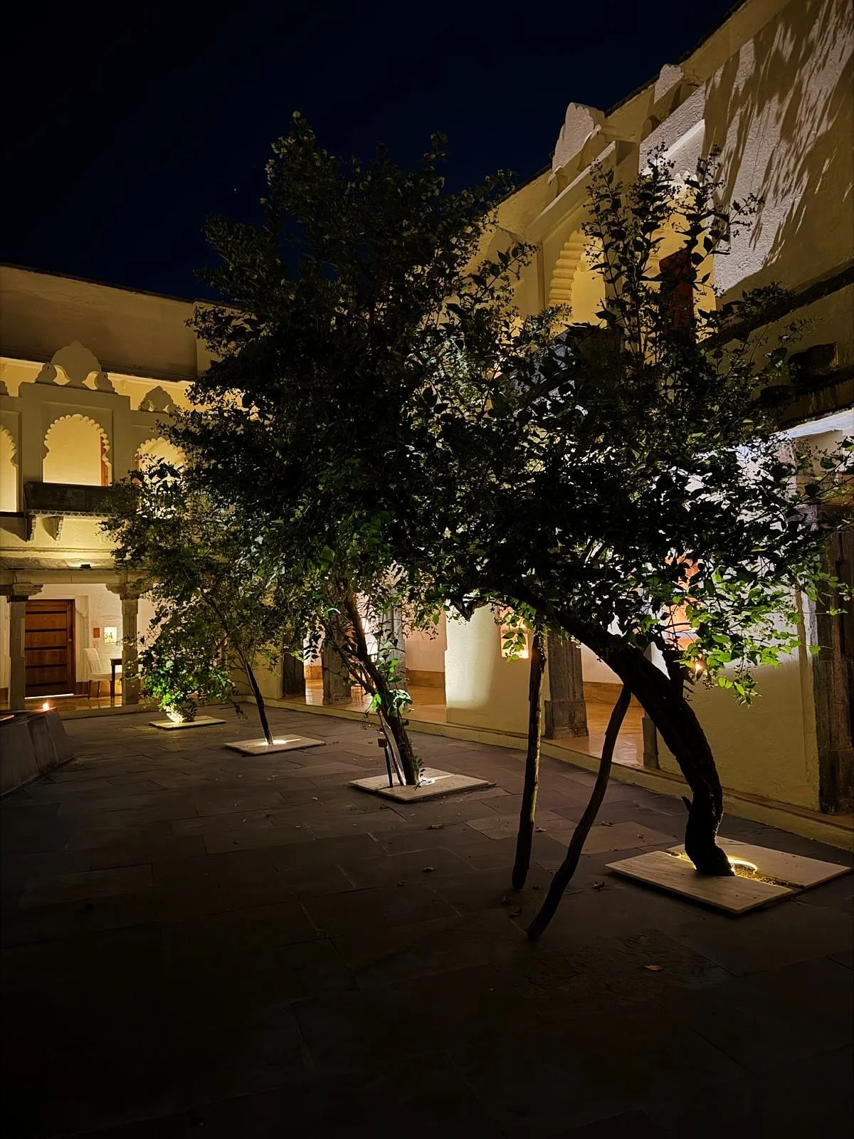 I arrived late last night to the beauty of all that is RAAS Devigarh, three preparation days before our retreat starts which promises to be very deep in these strong times&hellip;

Honouring all that is held here in beauty, care, service and kindness