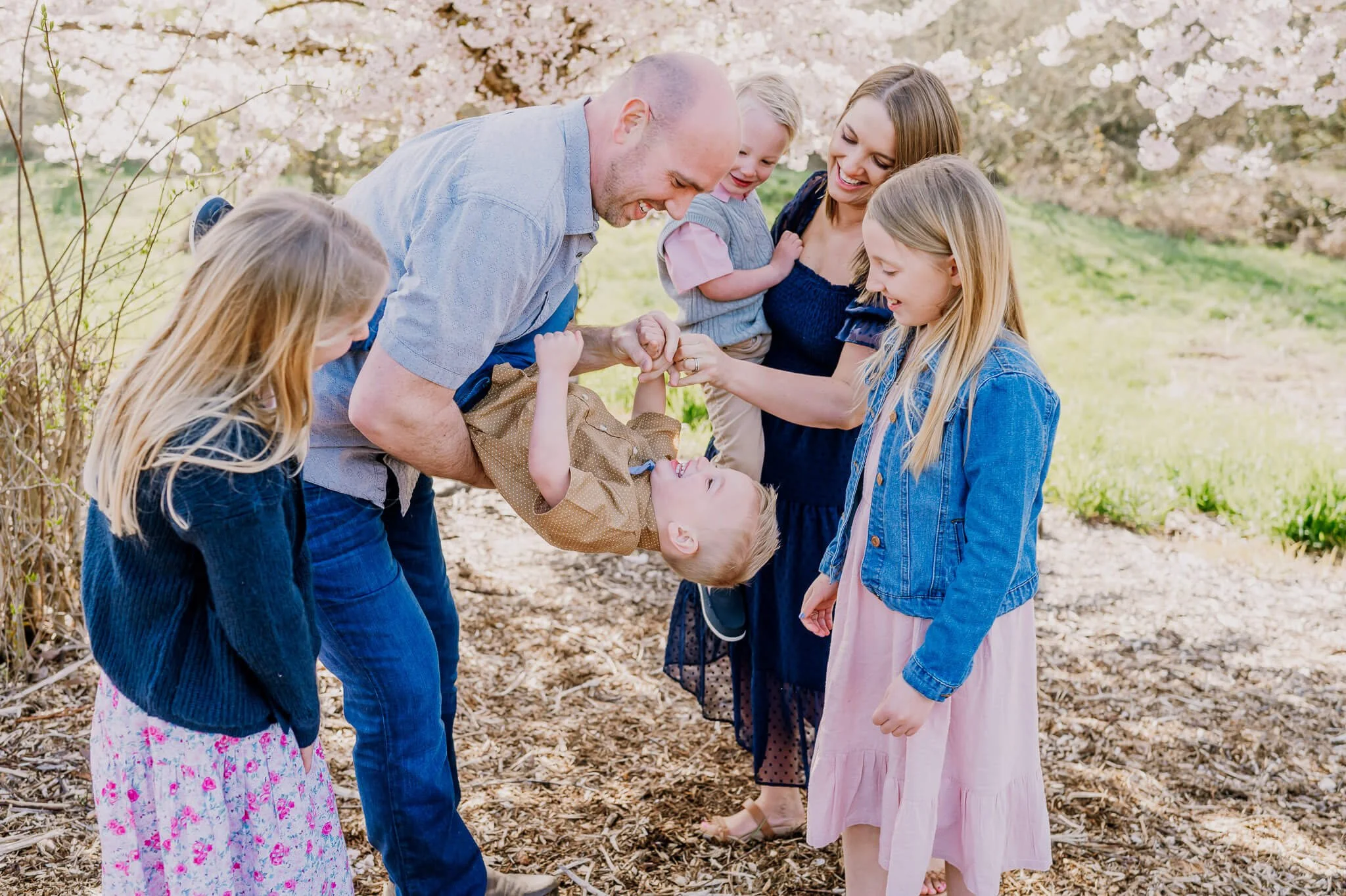 Family laughing in the cherry blossom trees