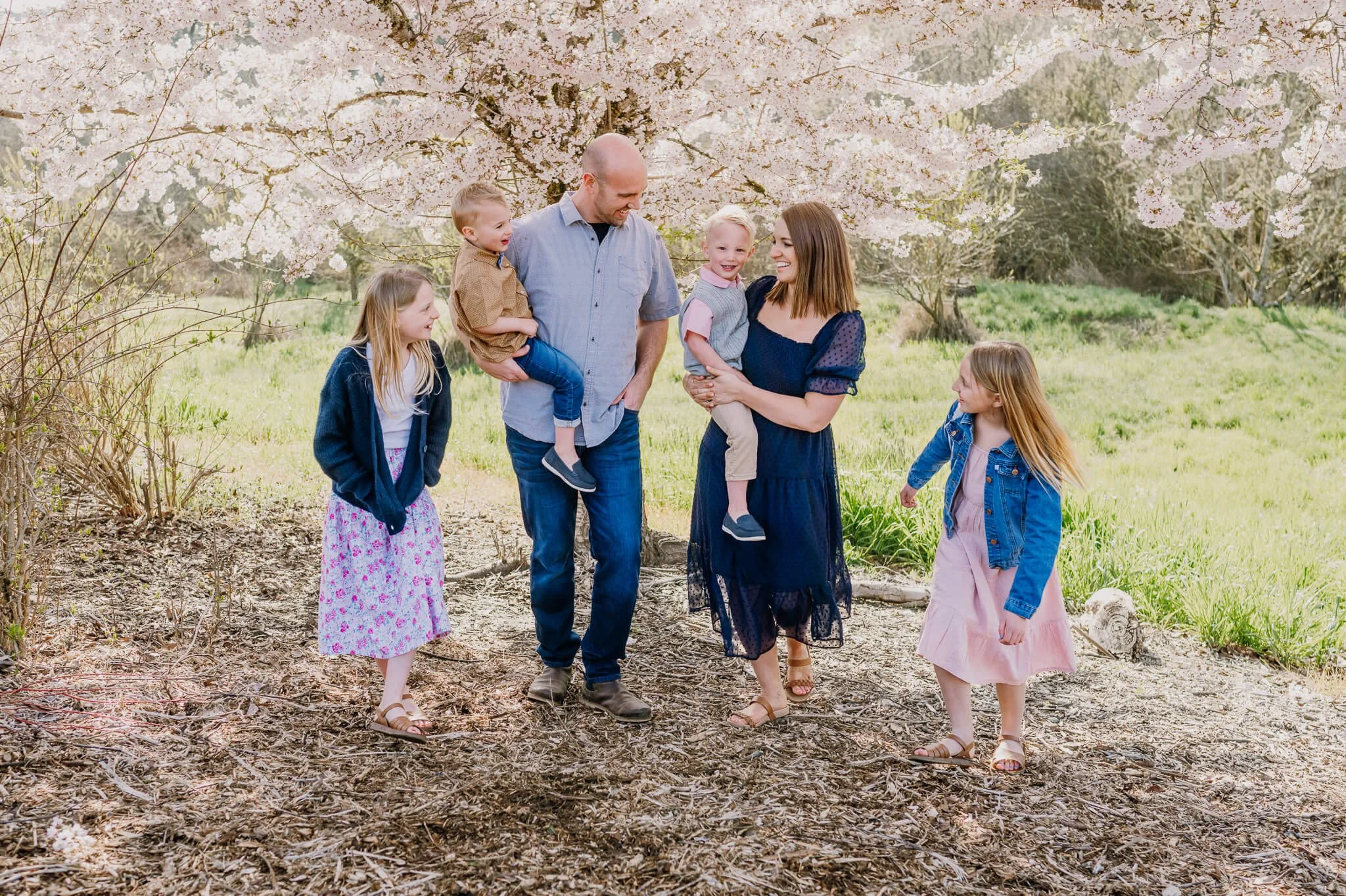 family of 5 walking in the cherry blossom trees