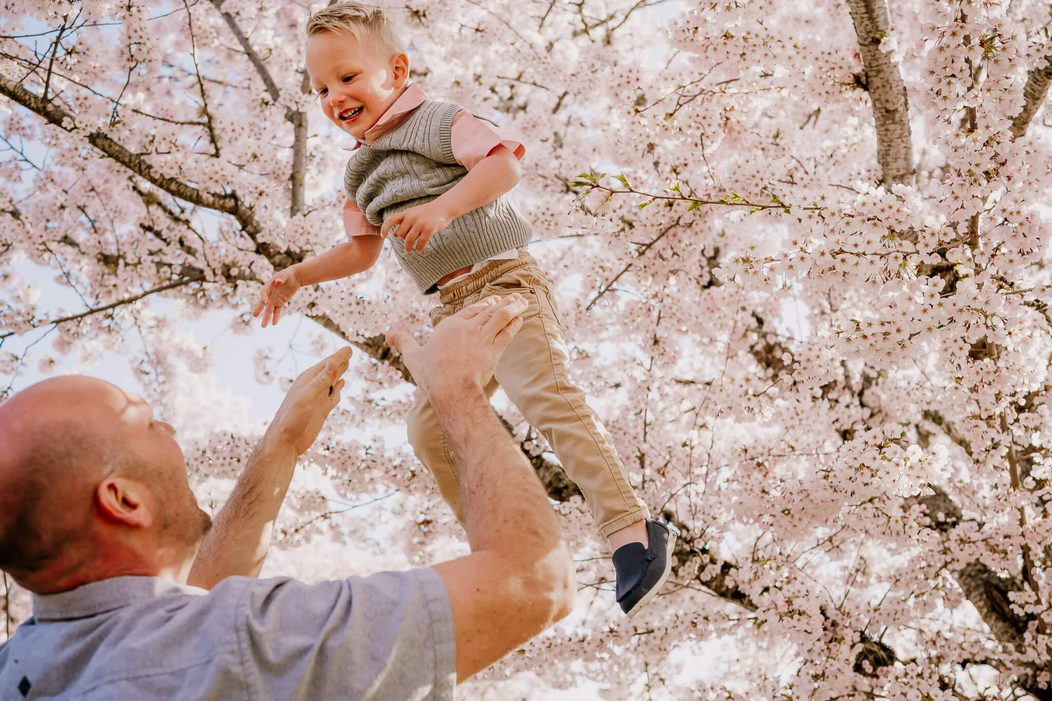 Dad throwing son up into the air