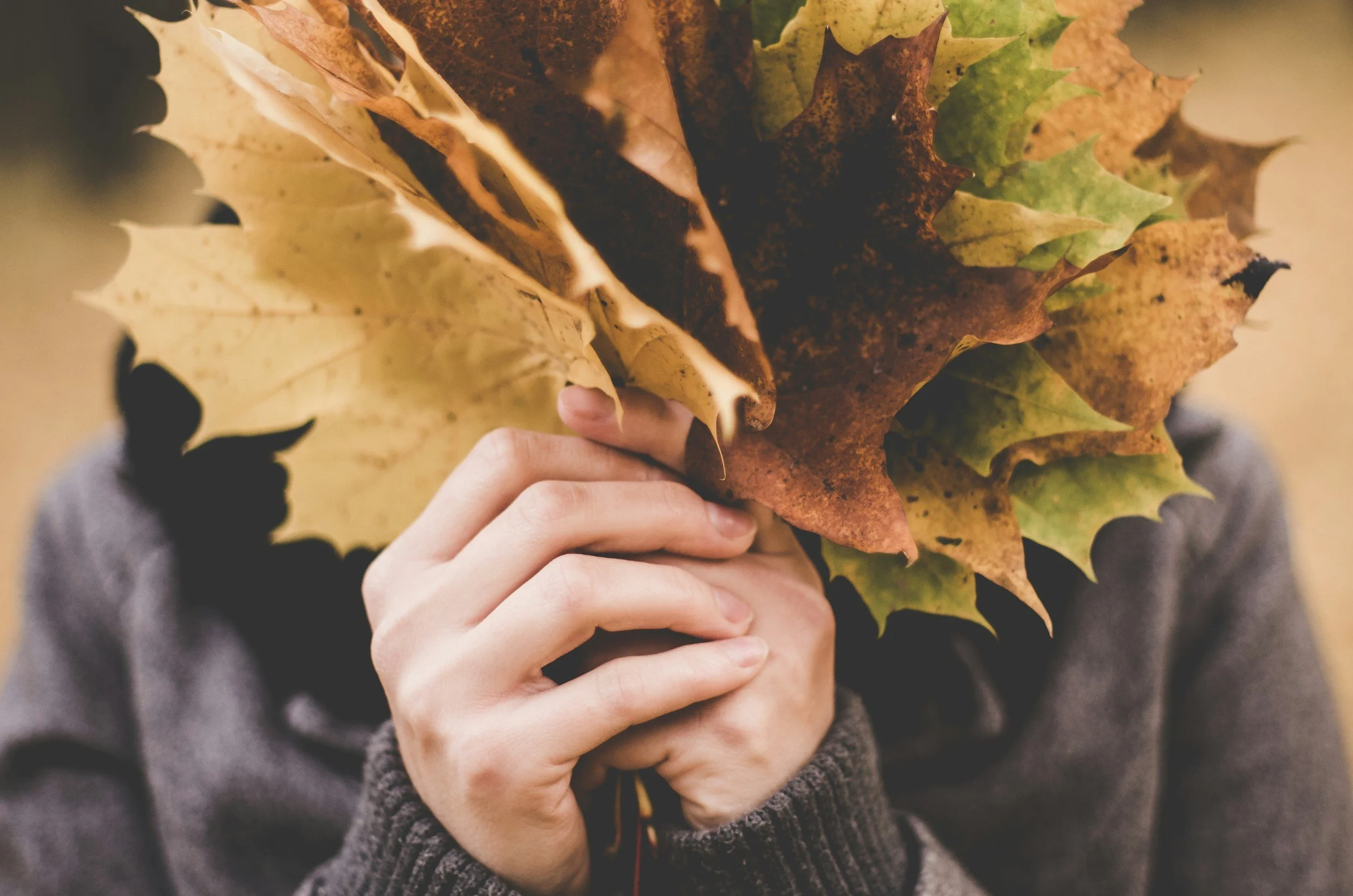 What the Autumn Budget Means for You