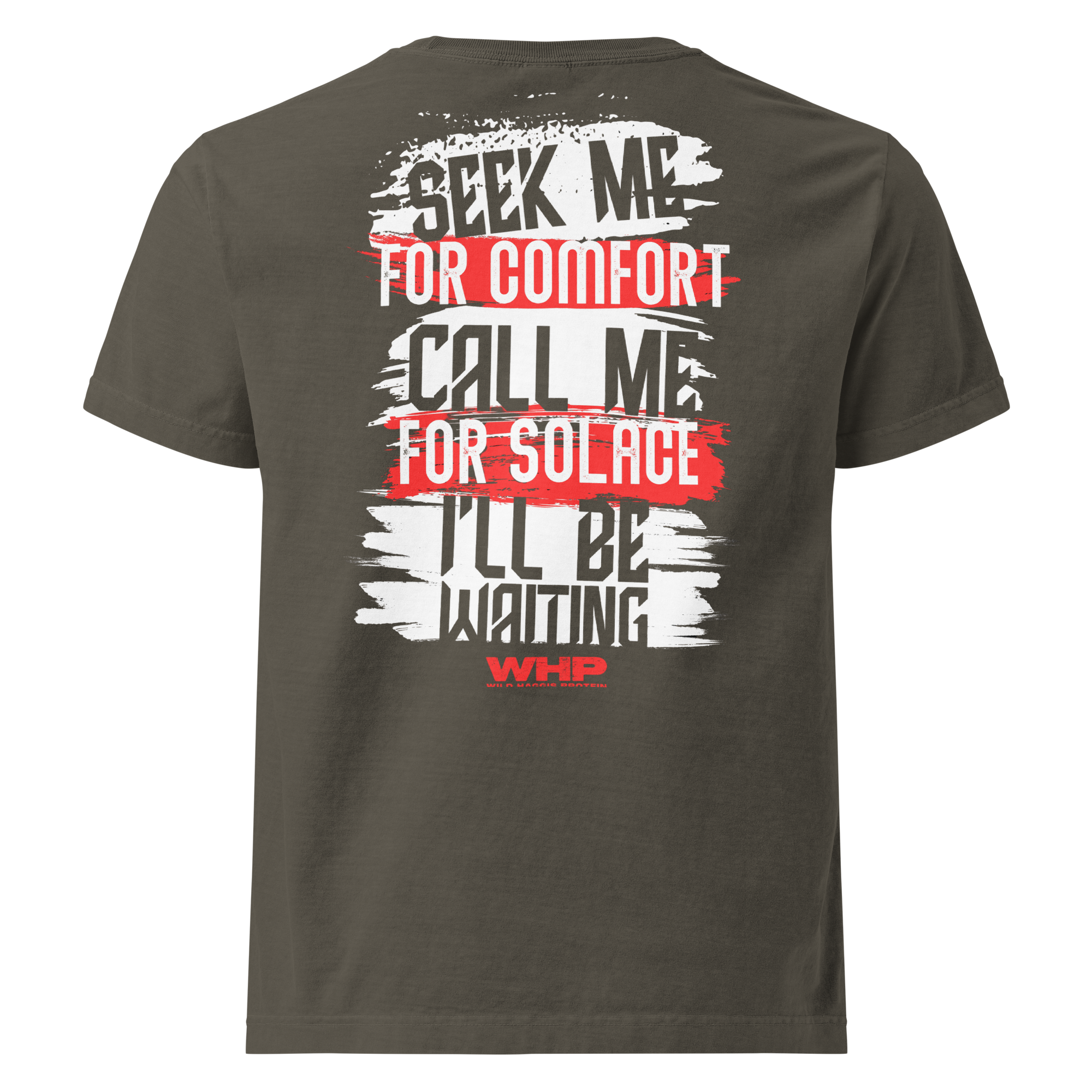 unisex-oversized-garment-dyed-t-shirt-washed-charcoal-back-6878e1a6d8872.png