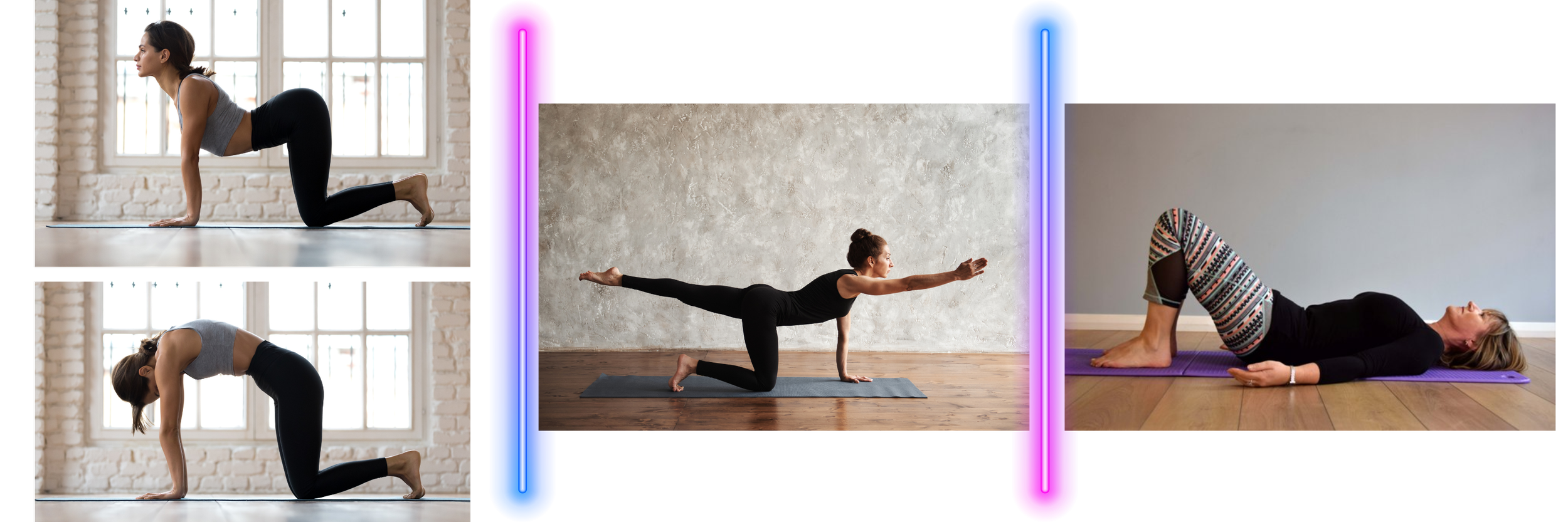 How to Manage Injuries and Safely Work Out Around Them — Wild Haggis ...