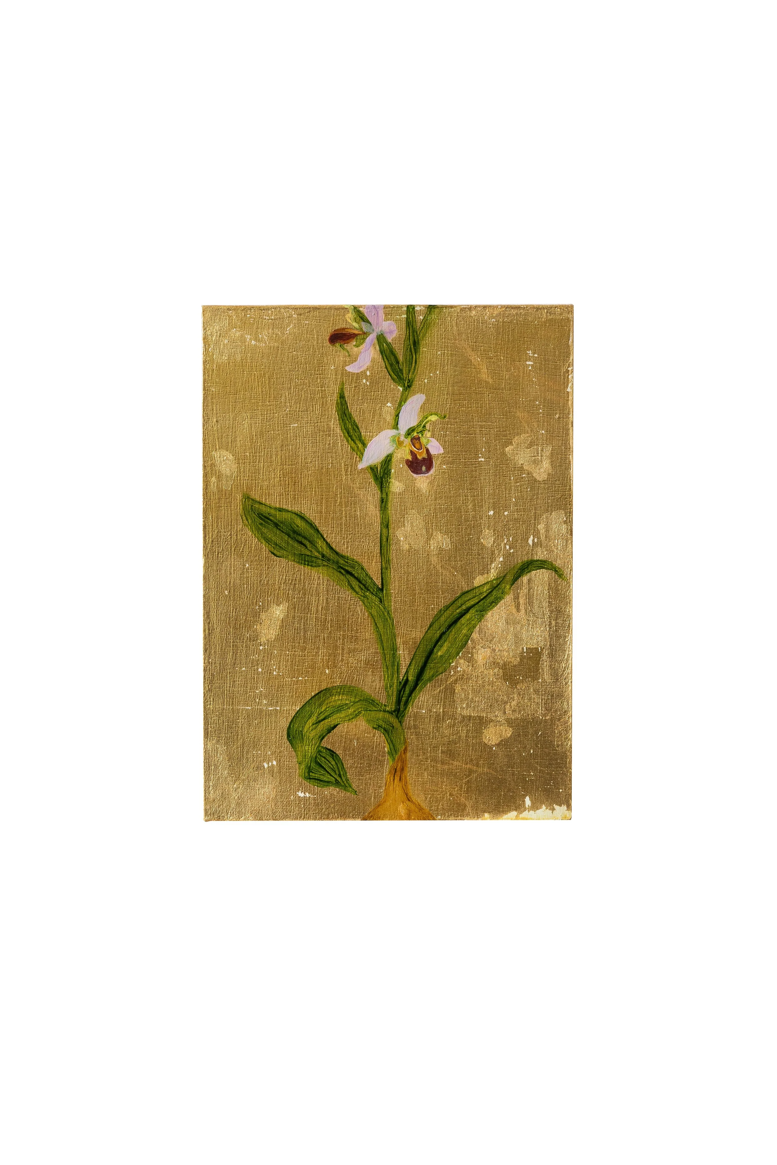 Mimic, Oil and metal leaf on board, 7 x 5  in, 2025