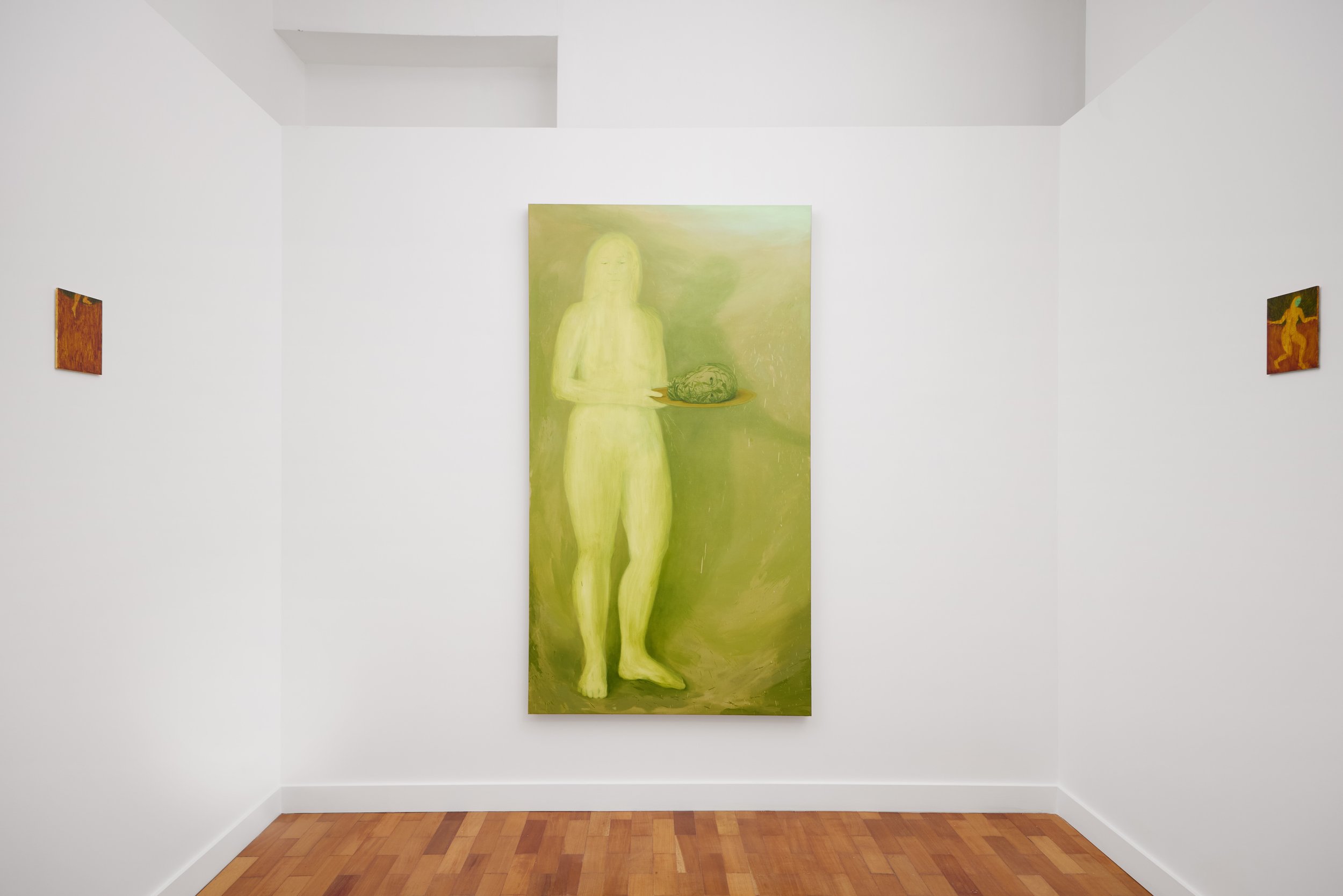 Install, Wilder Gallery 