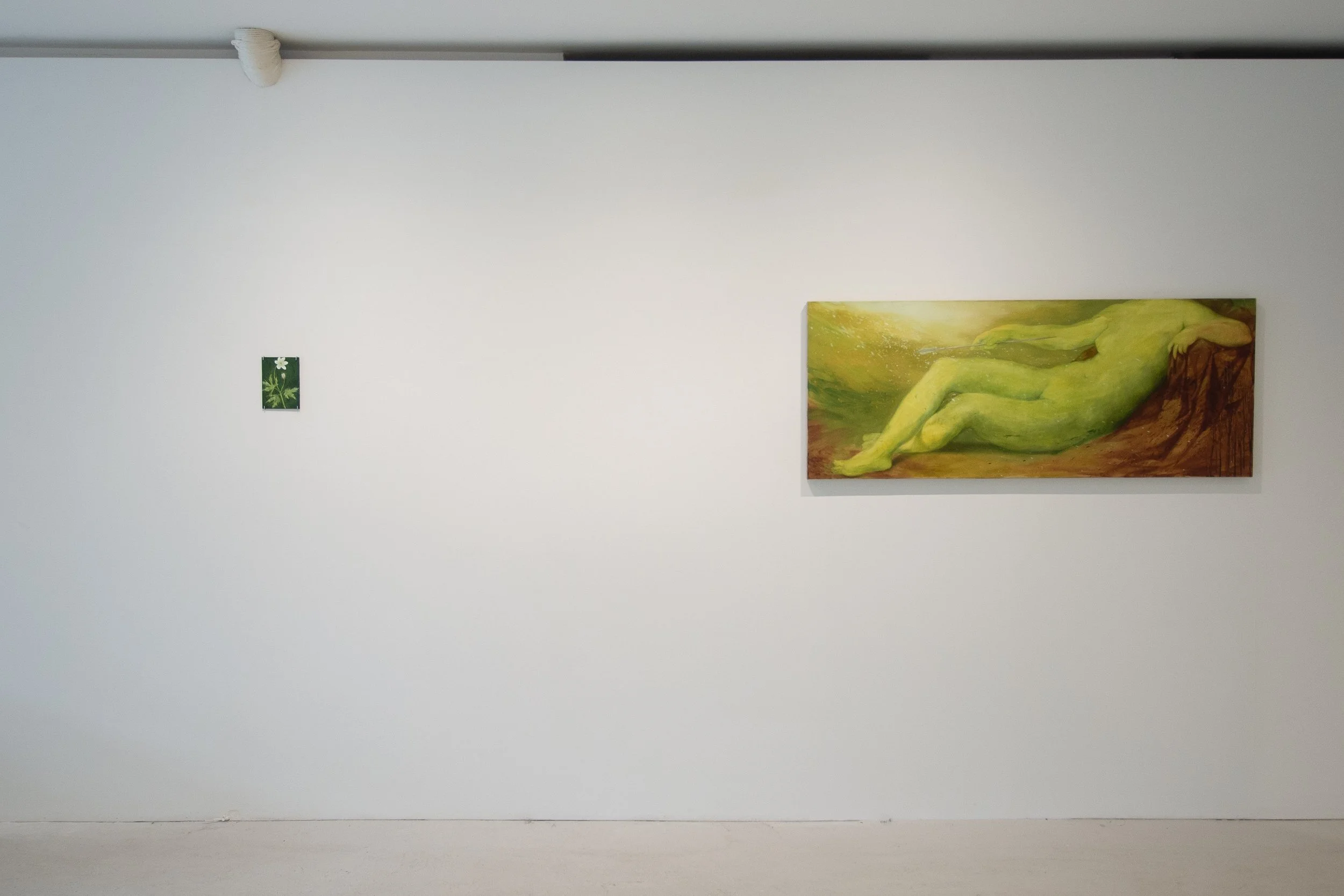 Xanthe Install-1.jpg