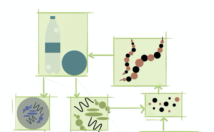 BIOBASED POLYMERS