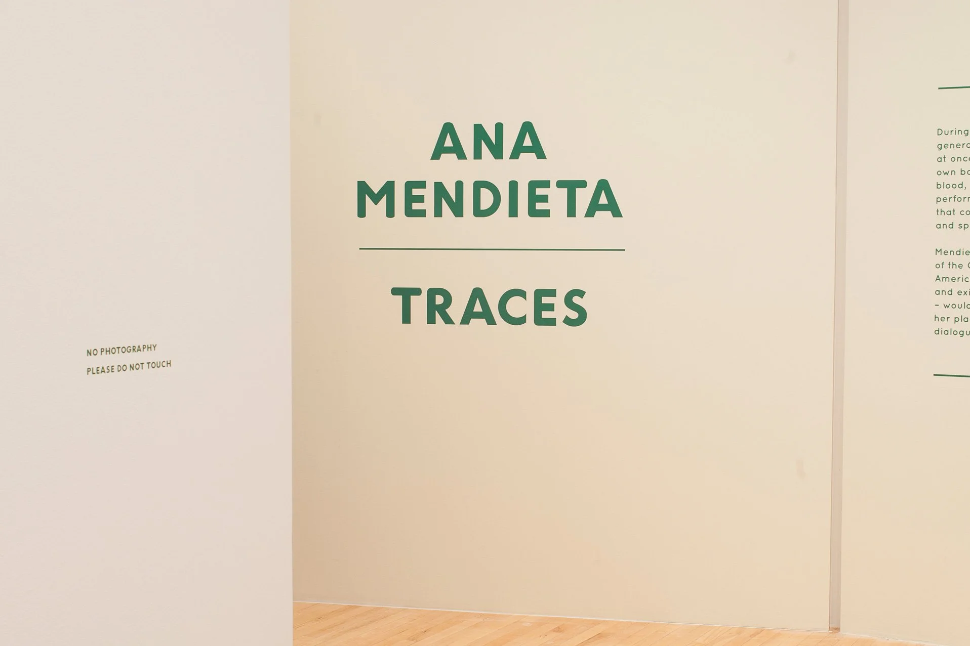 Mendieta_exhibit_01.jpg