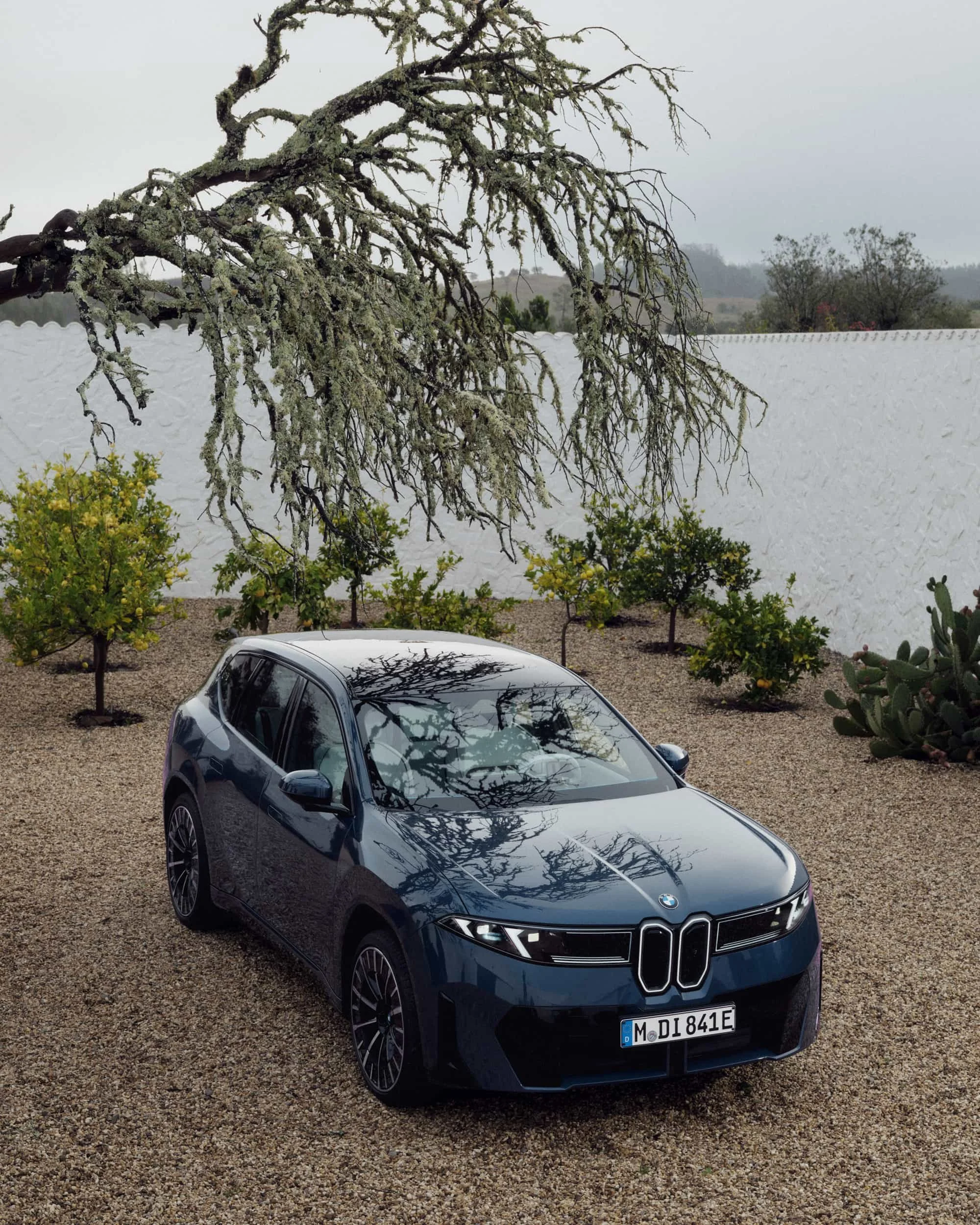 bmw-posting-11.jpg