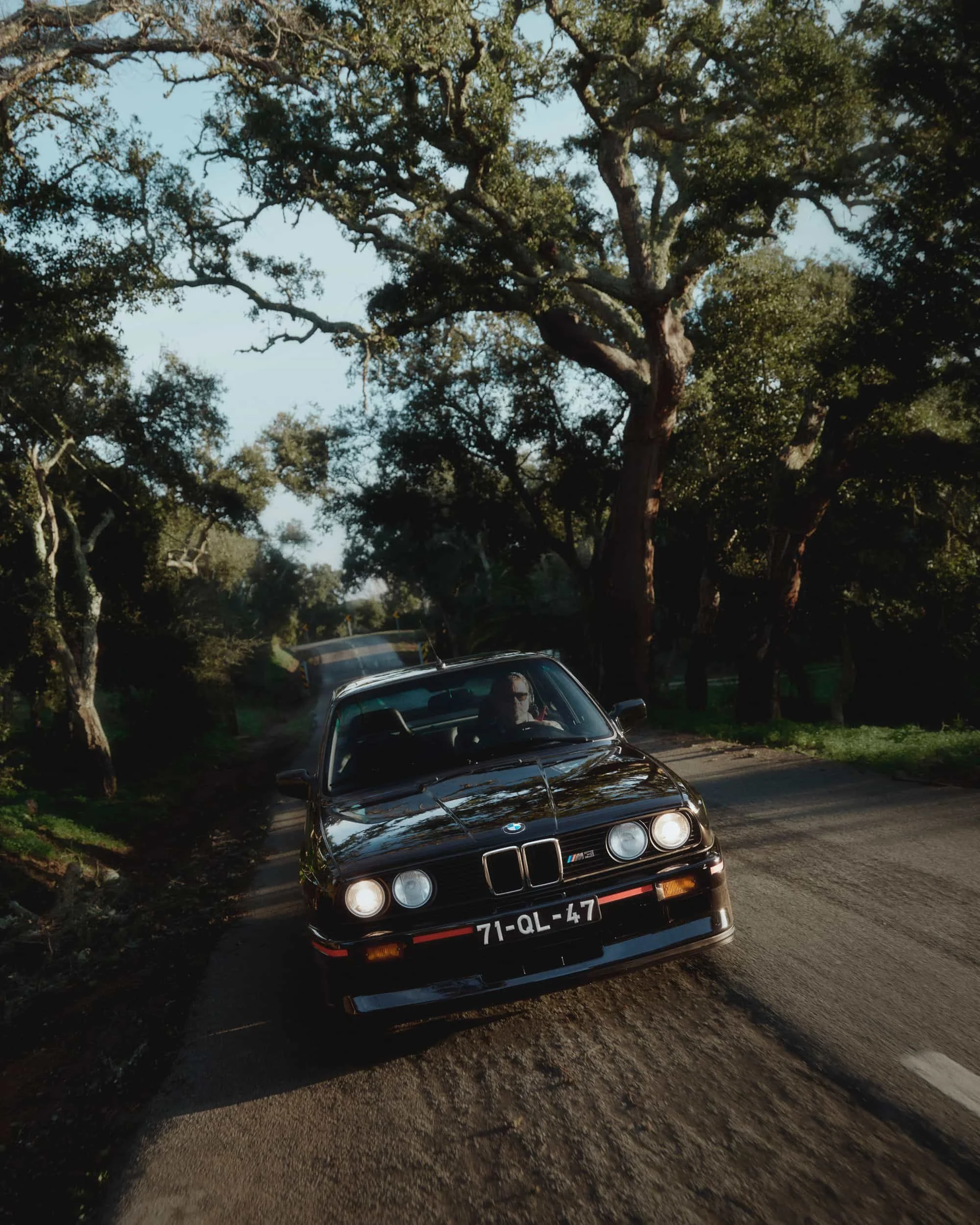 _DSF6668.jpg