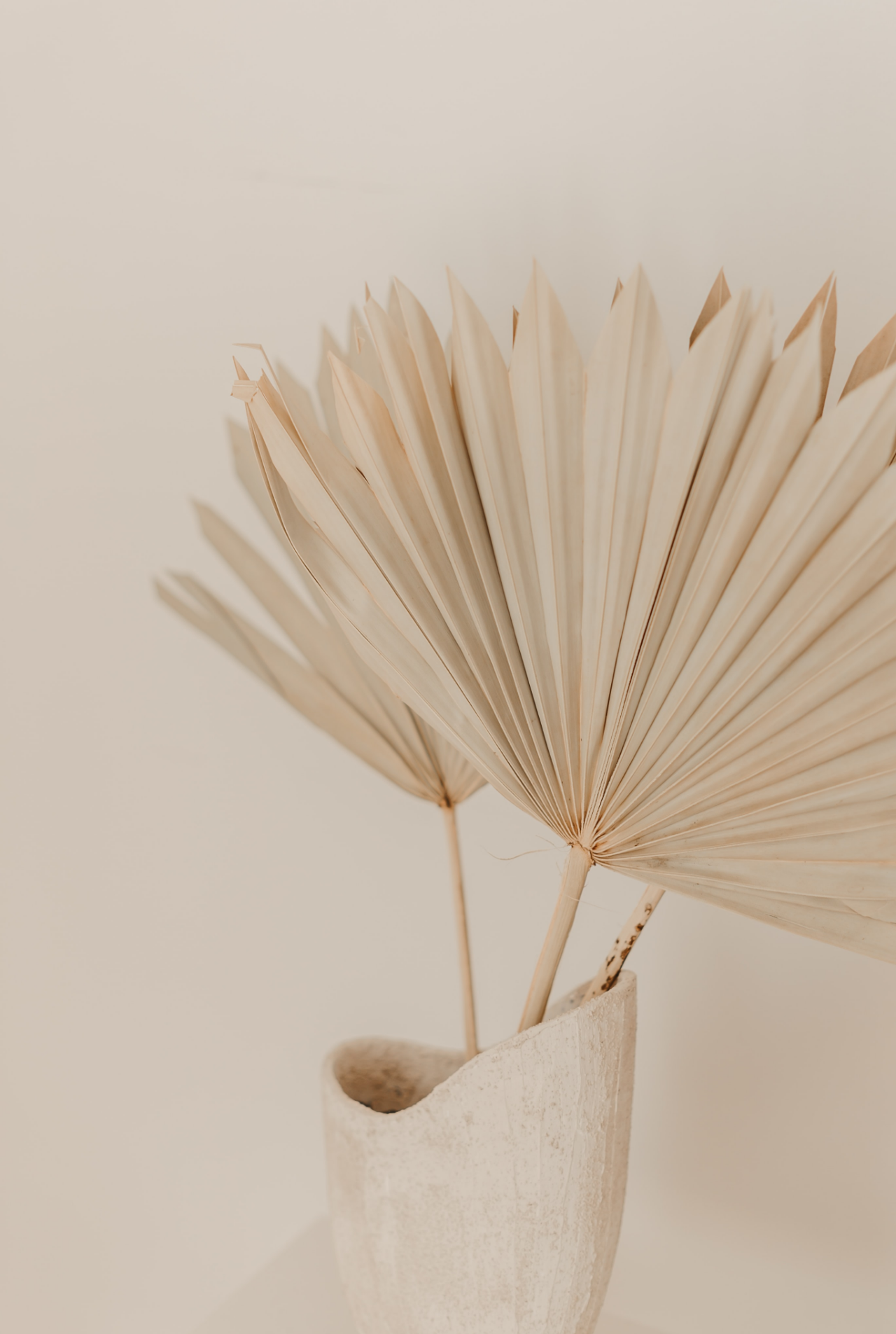 Minimalist arrangement of dried palm leaves in a stone vase against a neutral background.