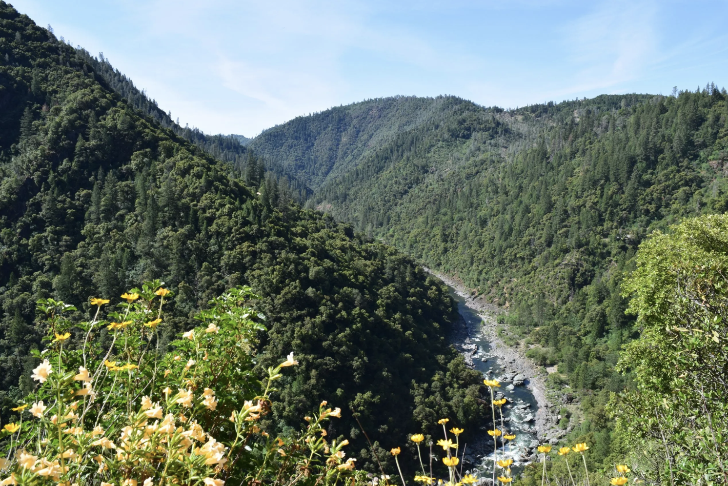 Community Hike - Steven’s Trail