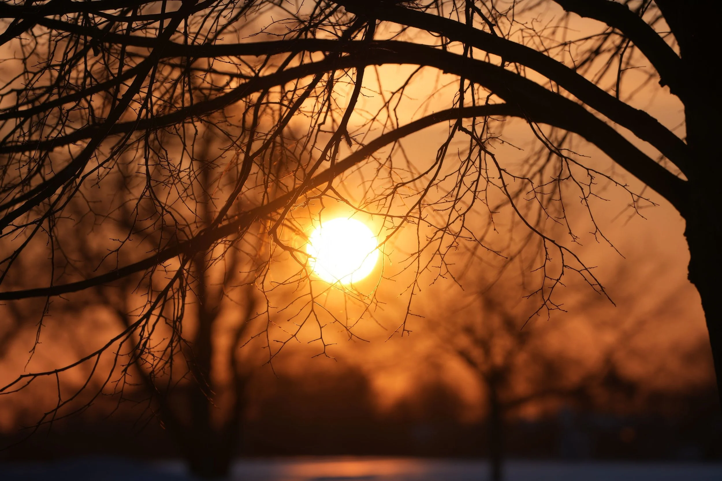 The Power of Breath - A Winter Solstice Experience