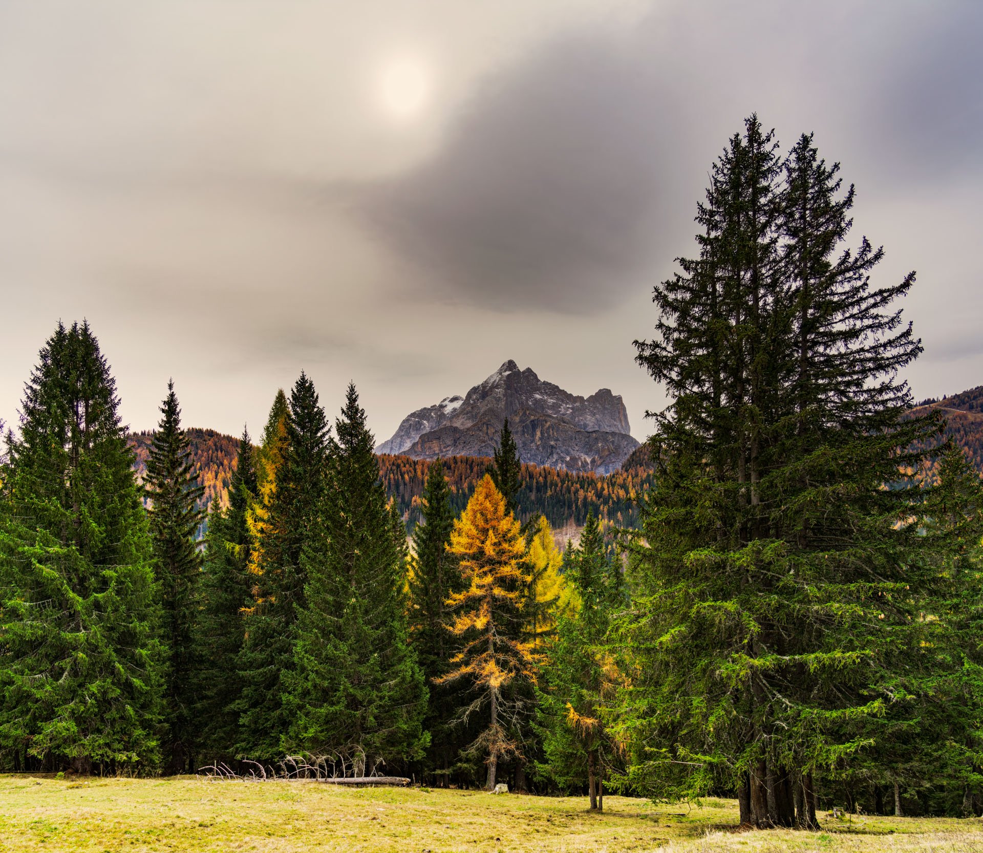 The Mount Civetta and the autumnal forest of the Dolomites | Il monte Civetta e il bosco autunnale delle Dolomiti
