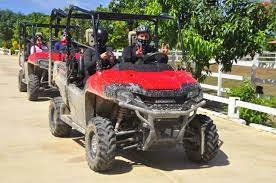 buggy vip.jpeg