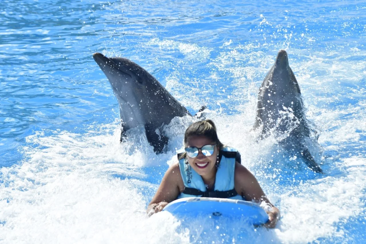 Dolphin Discovery.jpeg