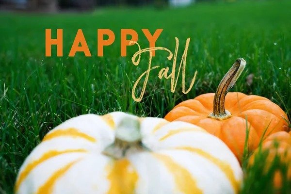 Happy Fall Everyone!! 