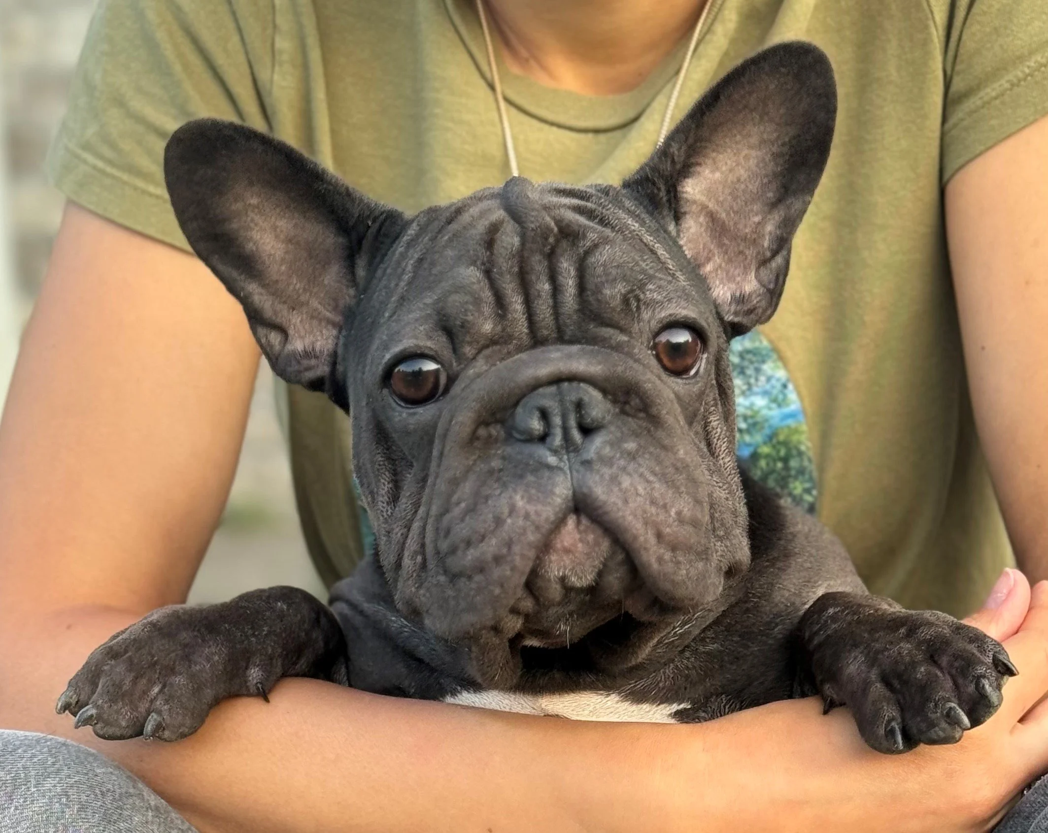 Meet Minerva!