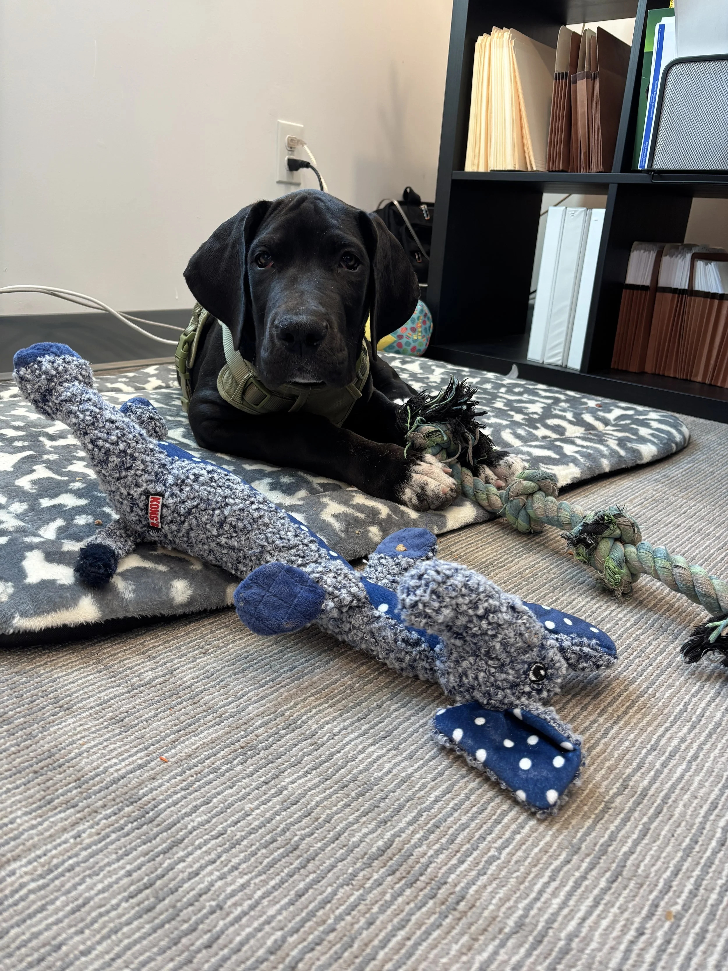 National Fun at Work Day!