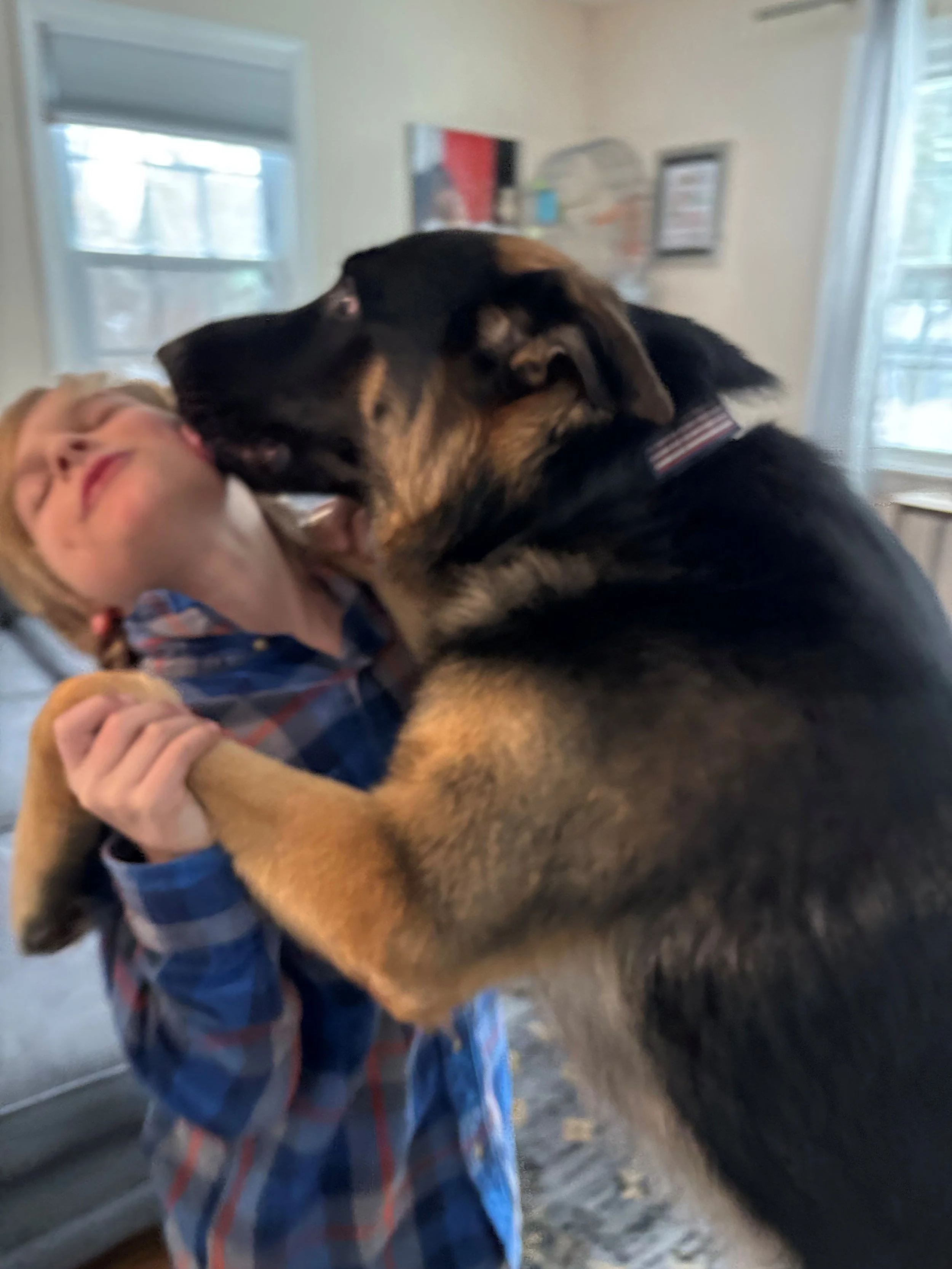 Love Your Pet Day
