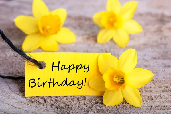 Happy Birthday Sandi!
