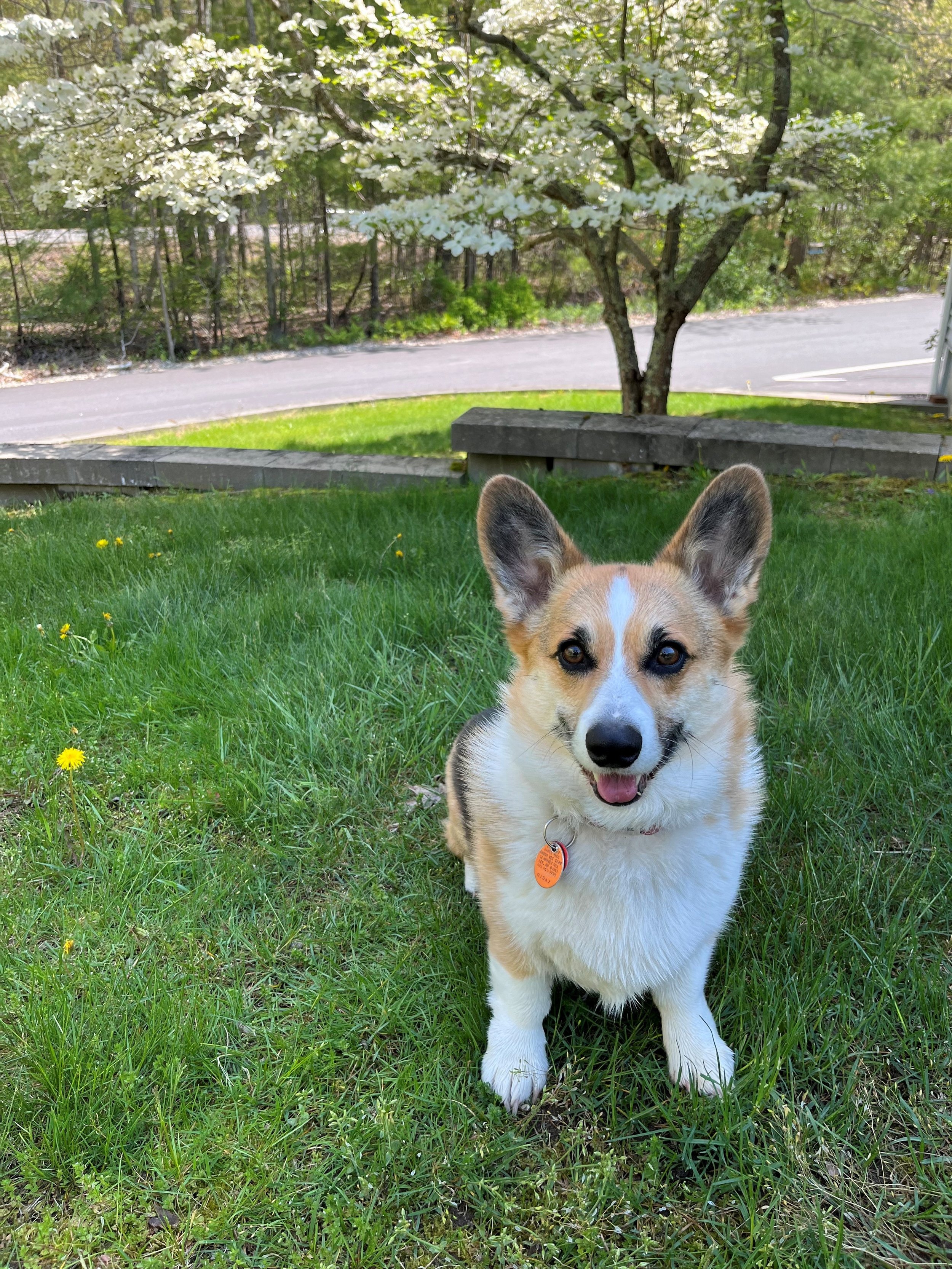 Happy Summer