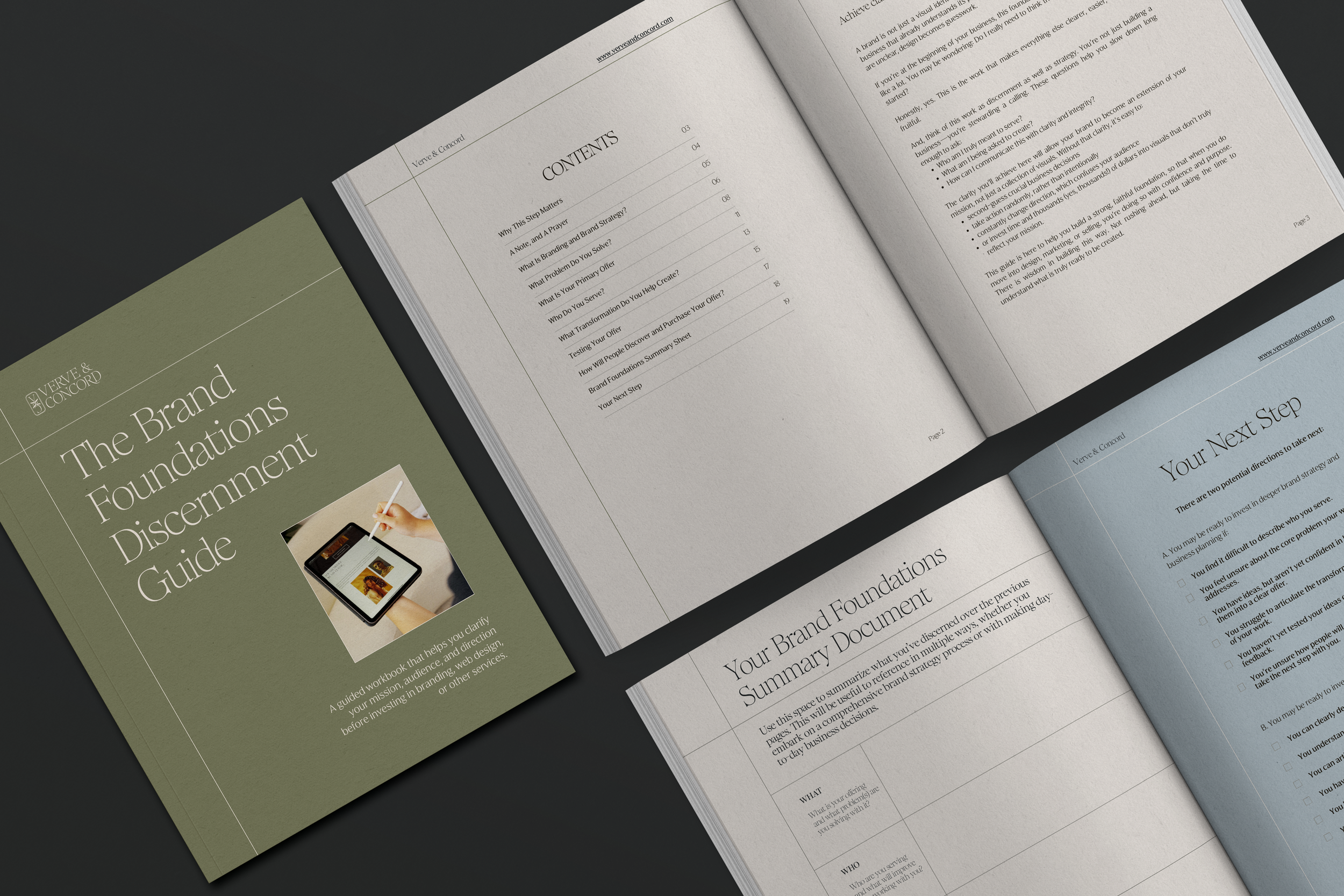 brand-discernment-guide-book-spreads.png
