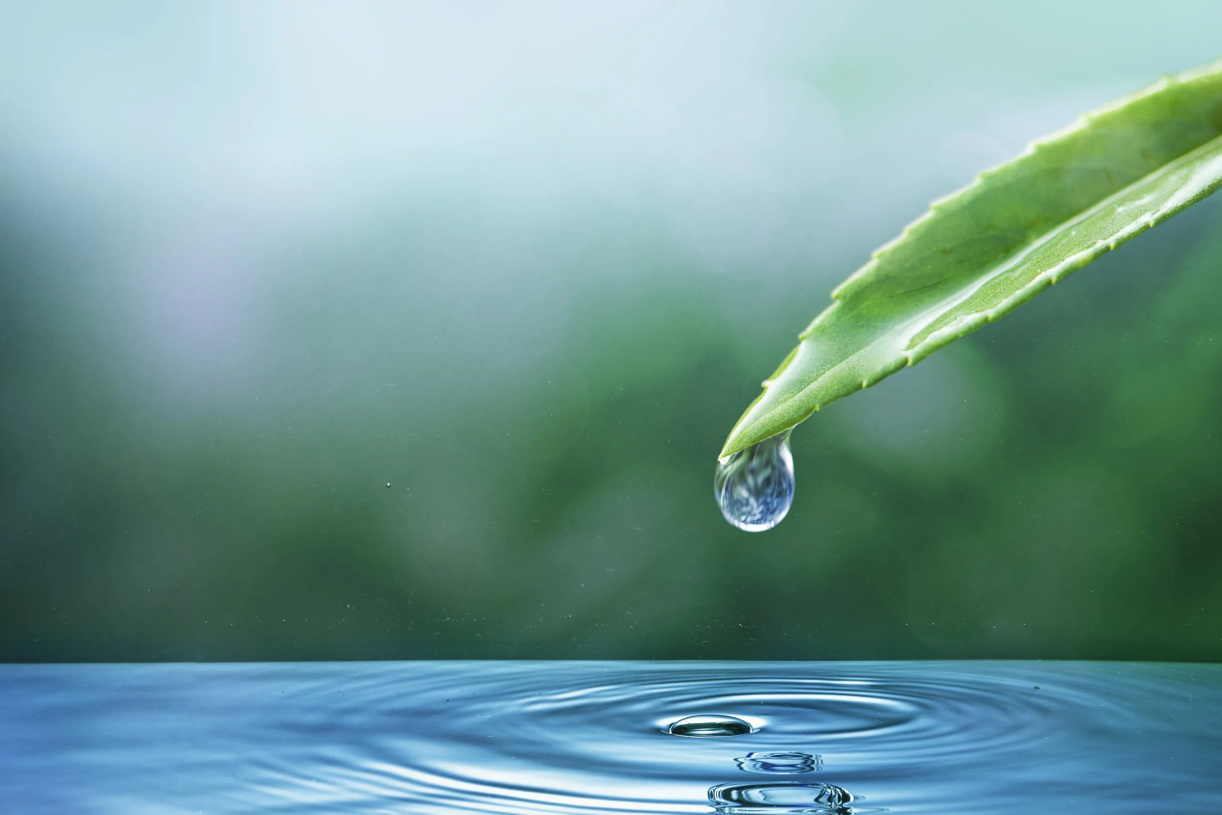 Why ESG needs evidence, not estimates