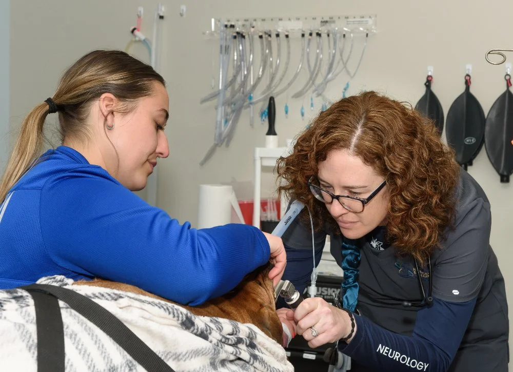 Making Good Choices in Veterinary Anesthesia: Routine Anesthesia