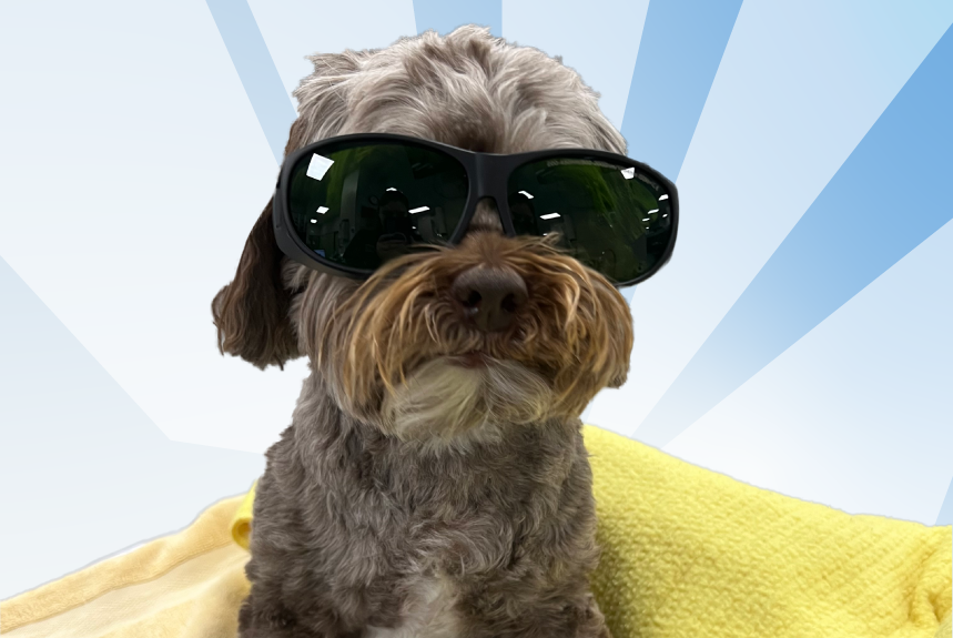 All Eyes on Bette Davis: Herniated Disc to Full Recovery!