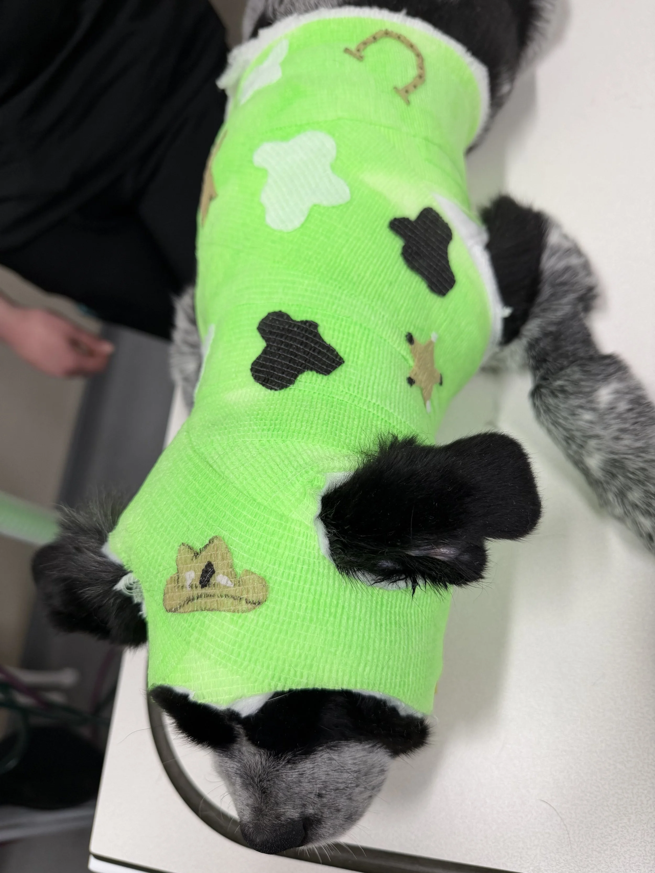 Steeley 2nd Bandage2.jpeg