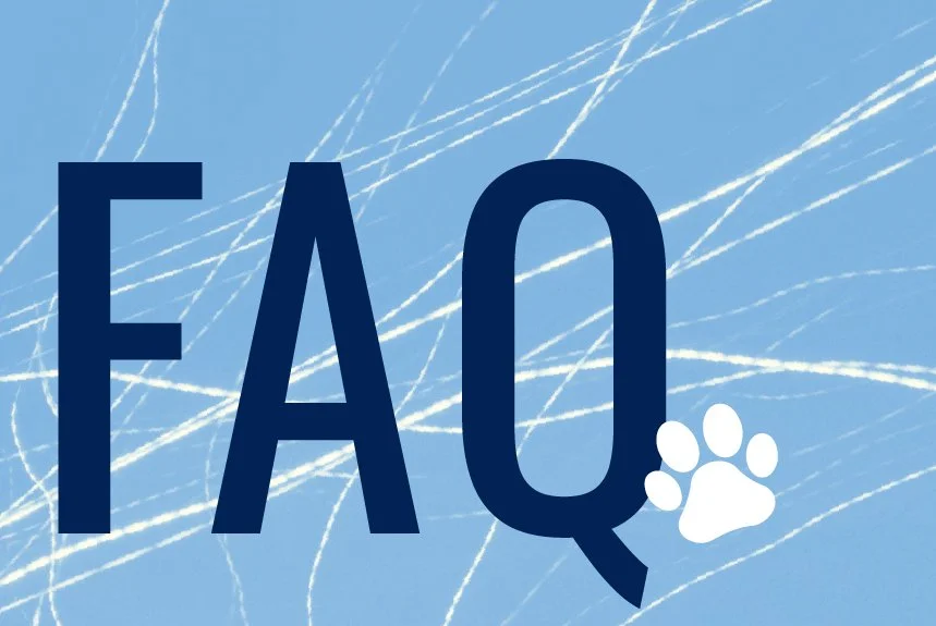 Pet Seizures: Six of Your Most Frequently Asked Questions Answered!