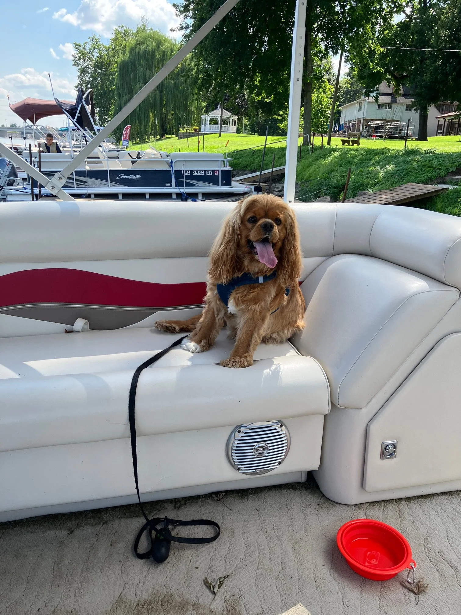 Ollie-boat-image12.jpeg