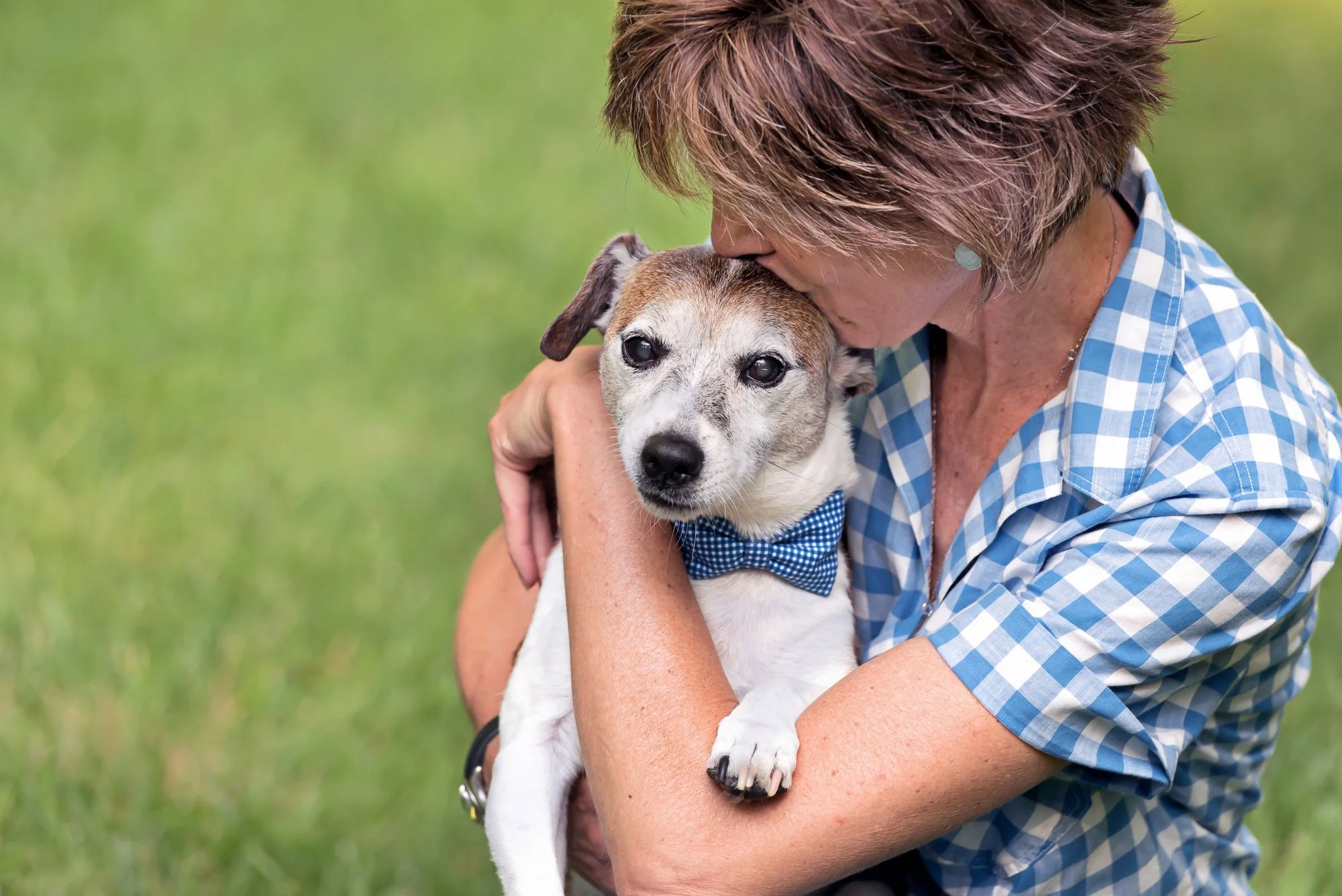 Why Is My Senior Dog Losing Balance? Signs of Old Dog Vestibular Disease and When to See a Veterinarian