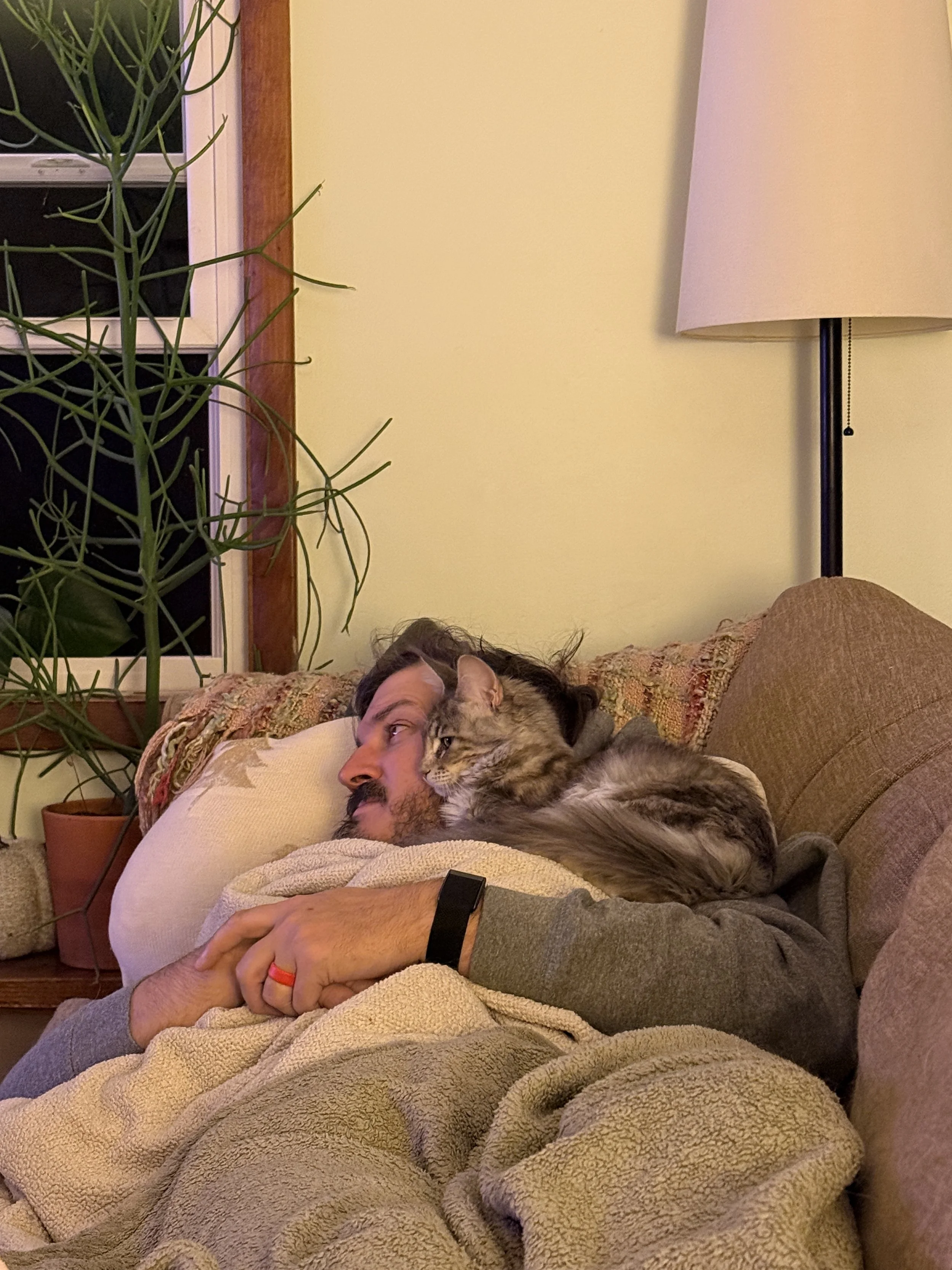 Freya-Home Pic from O 7-cuddling.jpeg